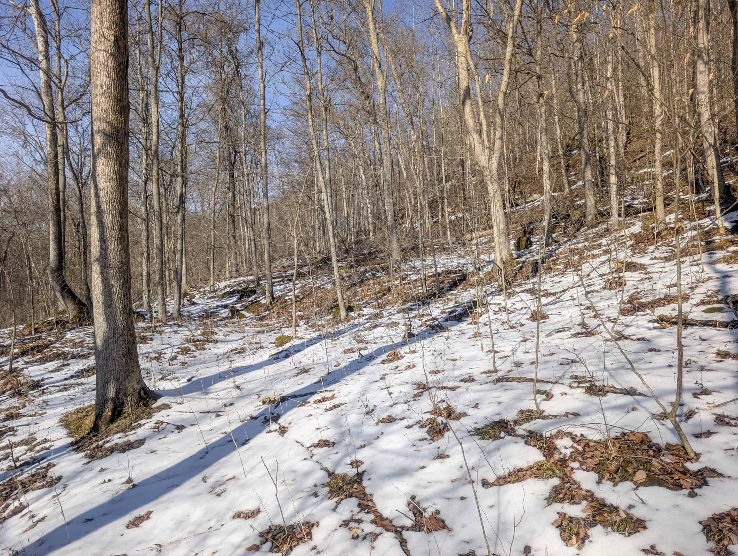 Tract 16 Washington County Large Acreage Hunting and Timber