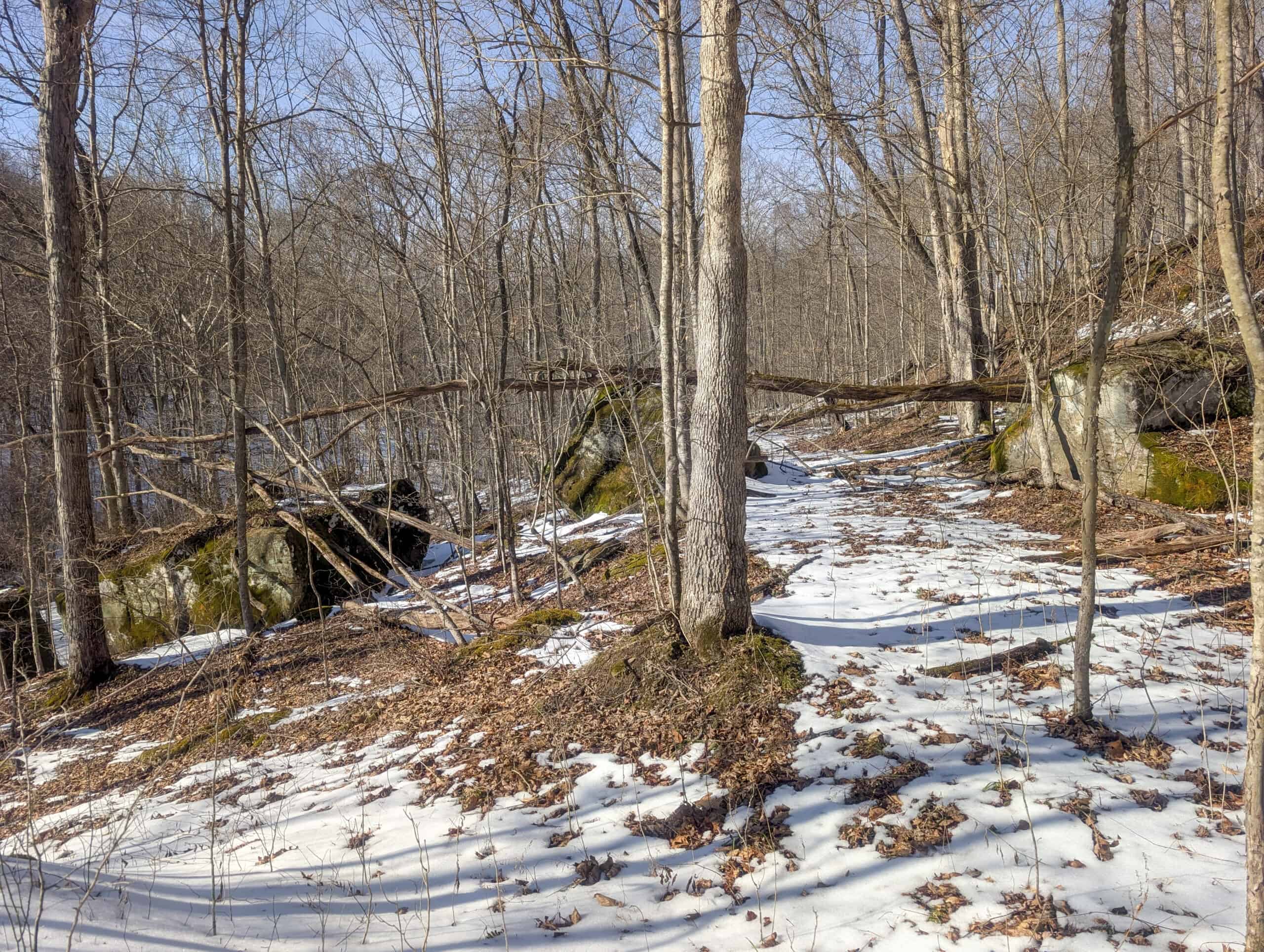 Tract 16 Washington County Large Acreage Hunting and Timber