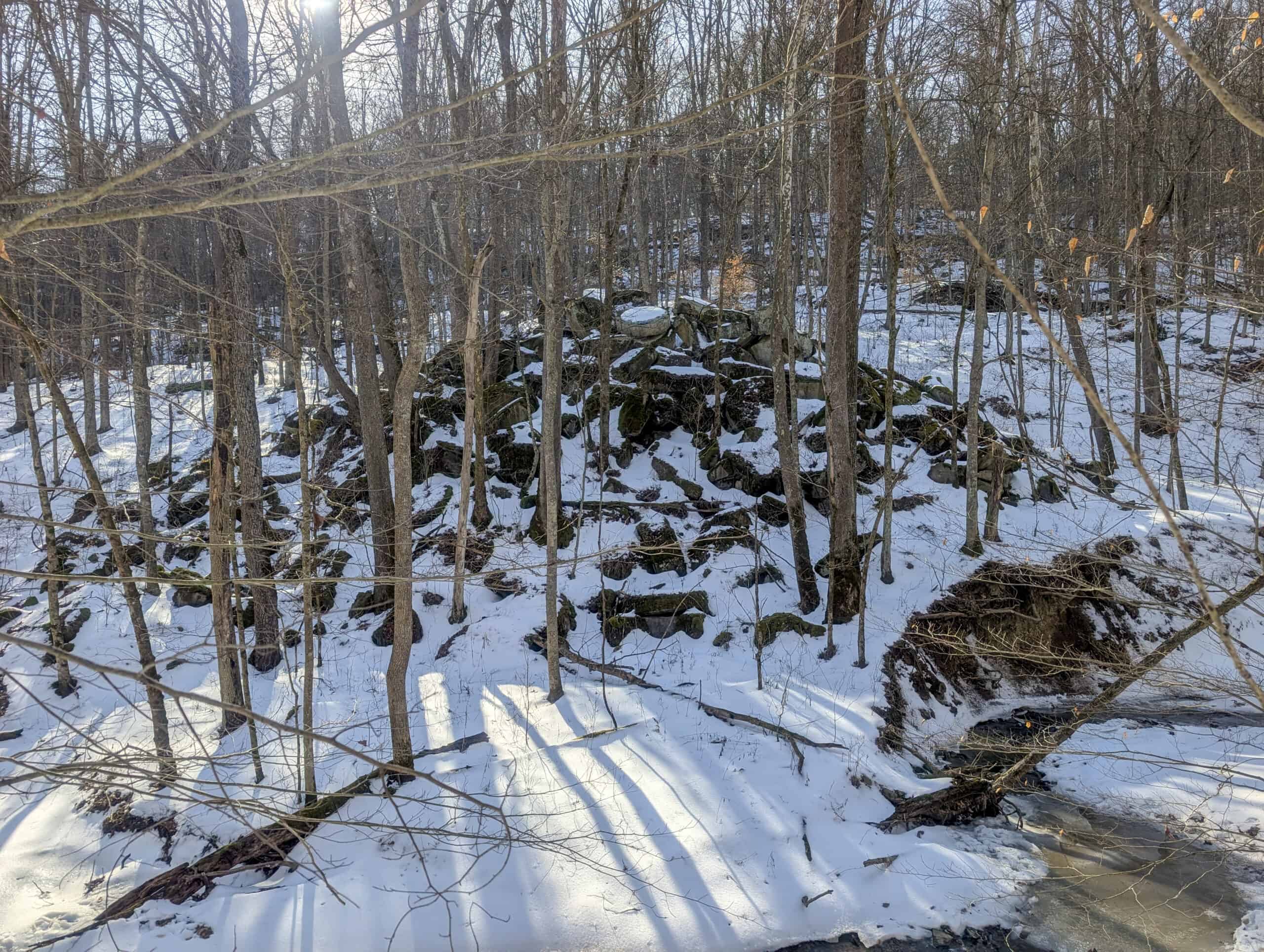 Tract 16 Washington County Large Acreage Hunting and Timber