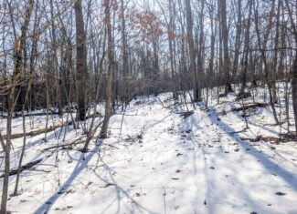 Tract 16 Washington County Large Acreage Hunting and Timber