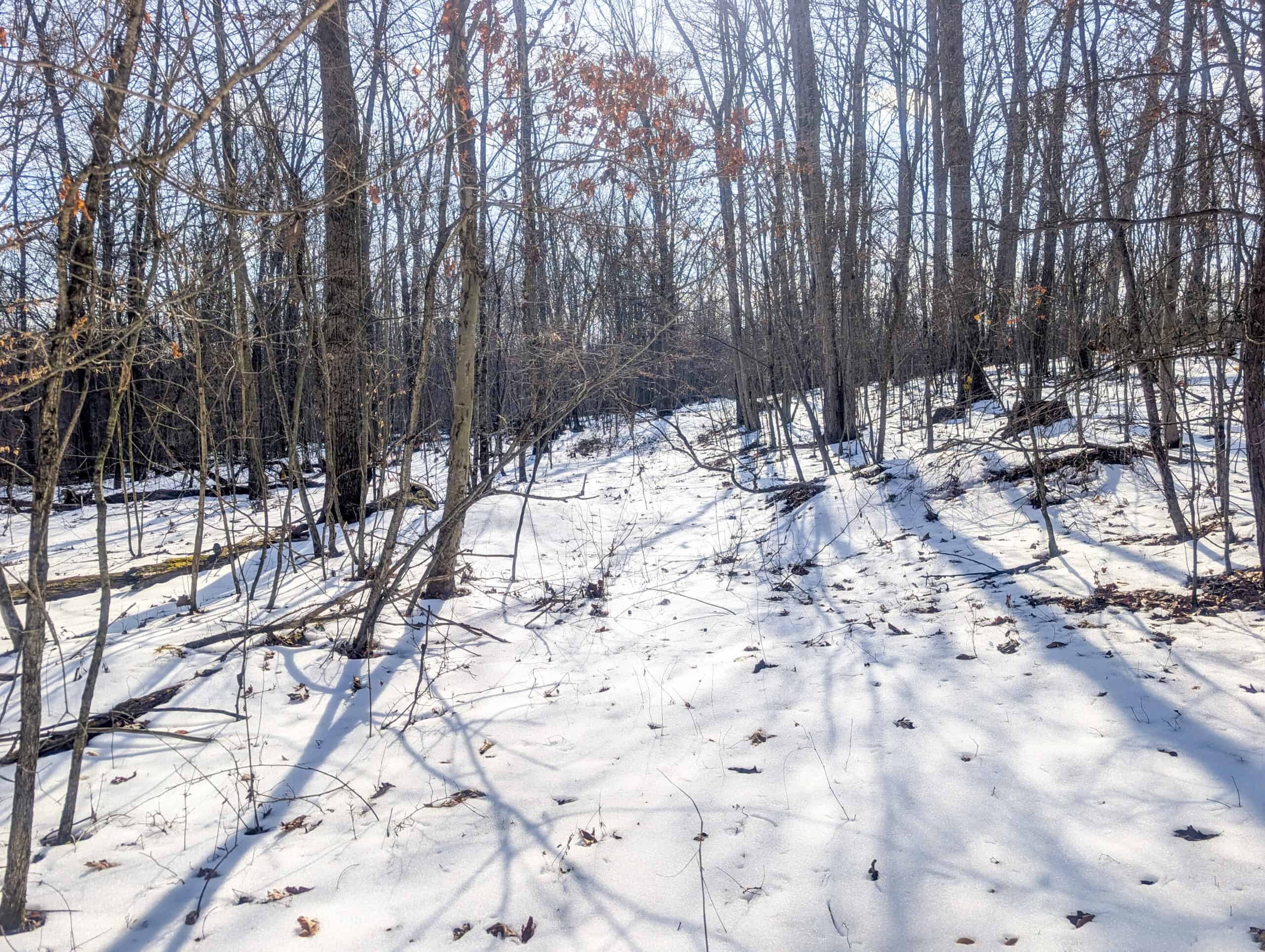Tract 16 Washington County Large Acreage Hunting and Timber