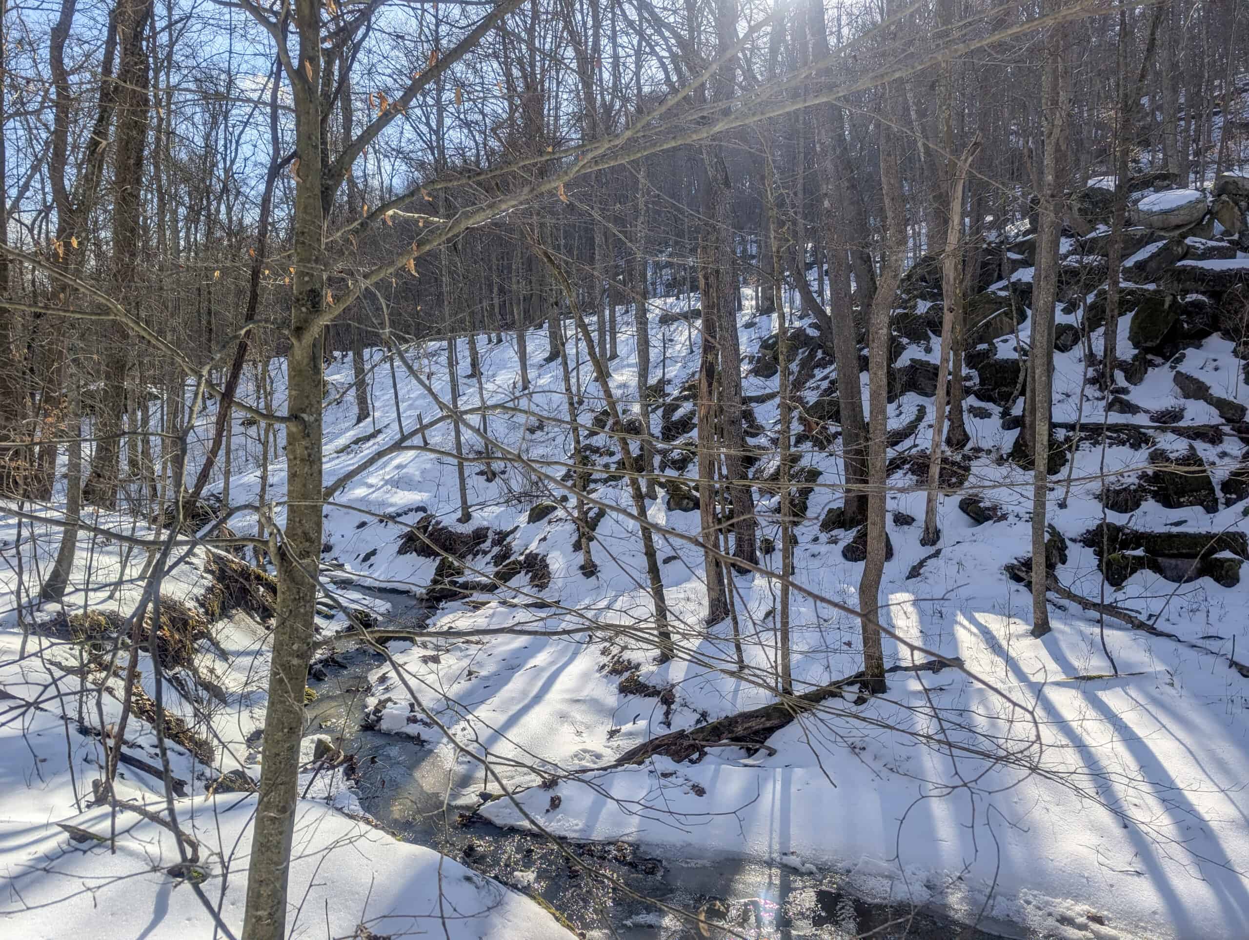 Tract 16 Washington County Large Acreage Hunting and Timber