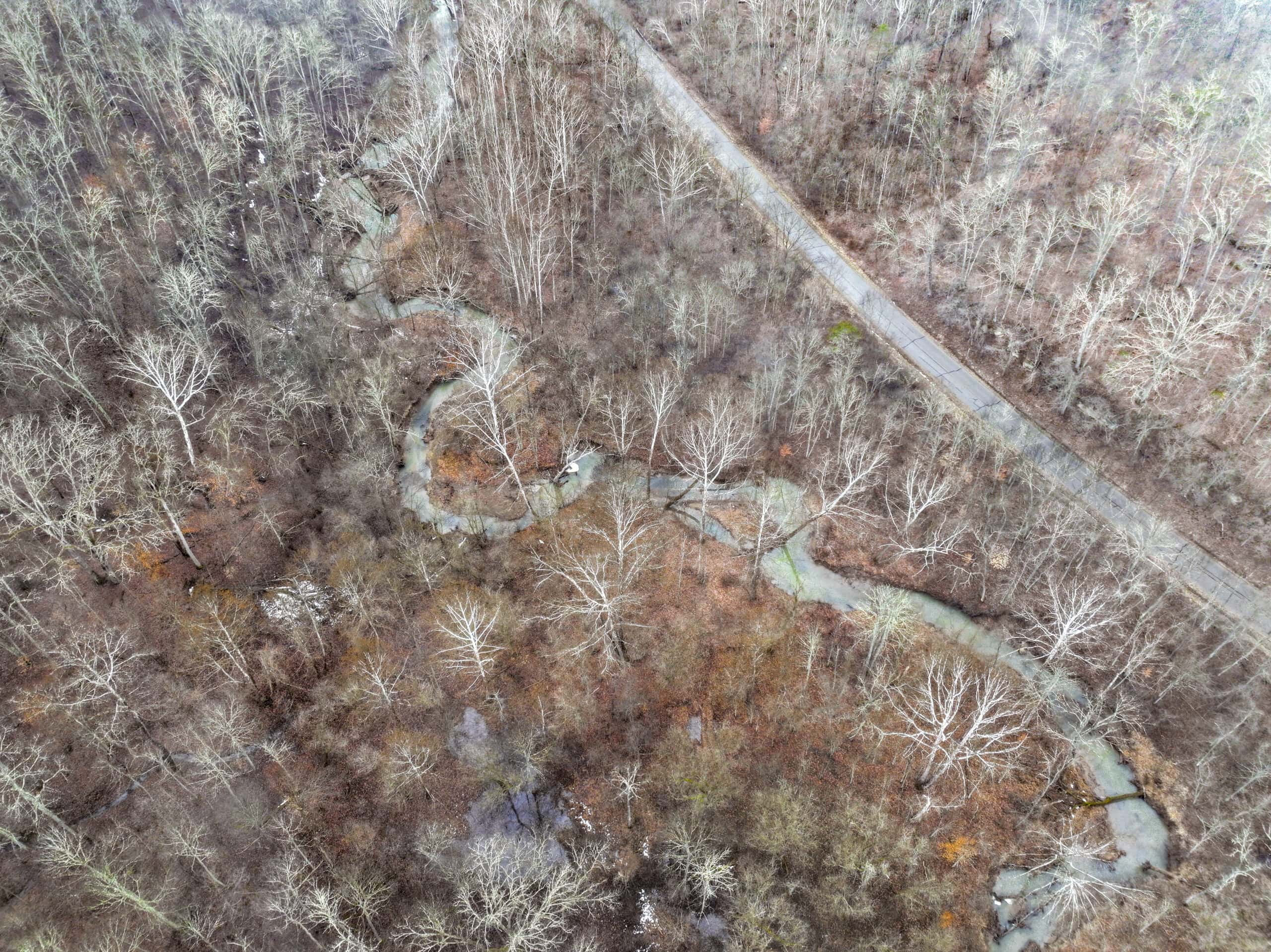 Tract 16 Washington County Large Acreage Hunting and Timber