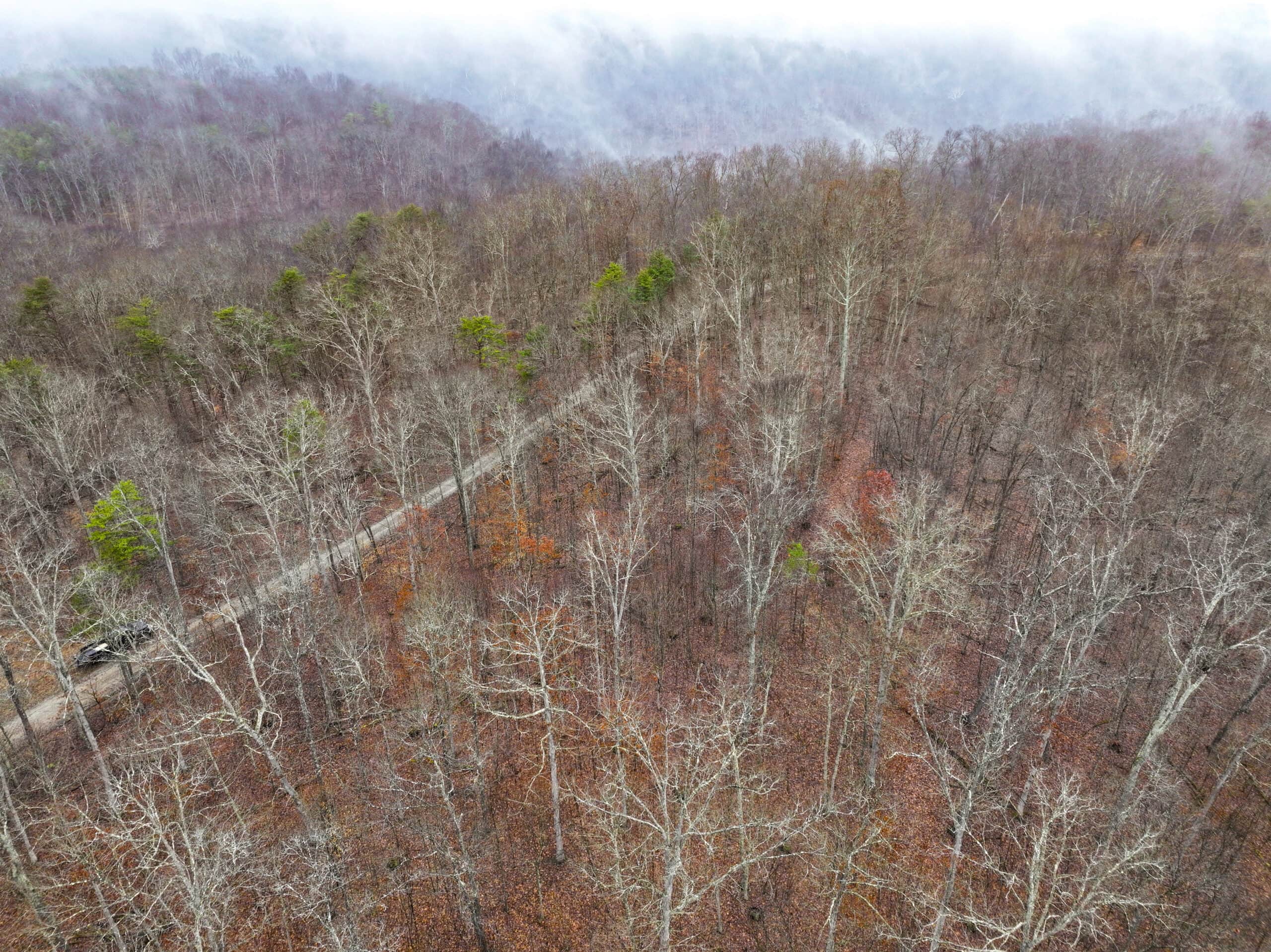 Tract 16 Washington County Large Acreage Hunting and Timber