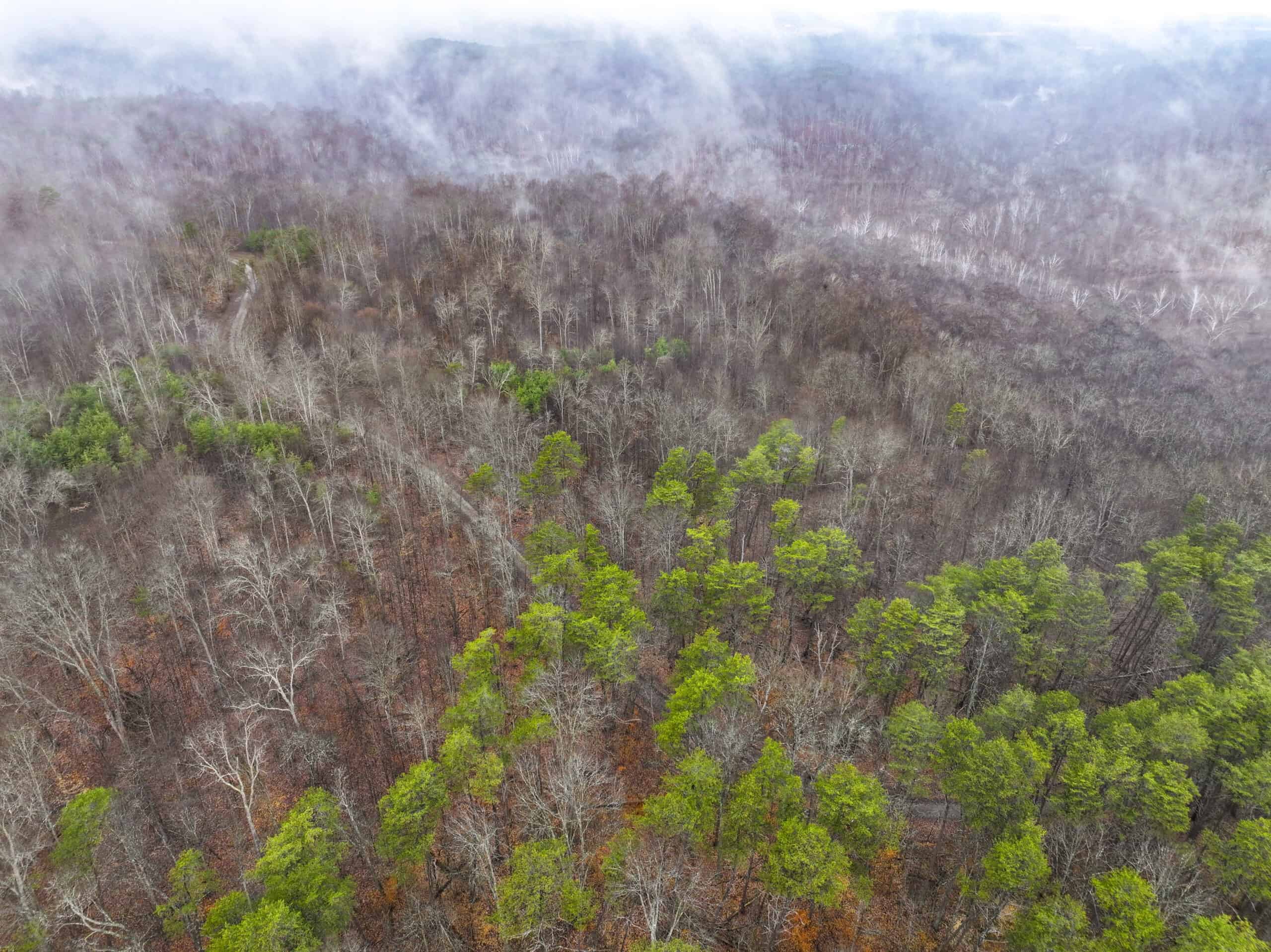 Tract 16 Washington County Large Acreage Hunting and Timber