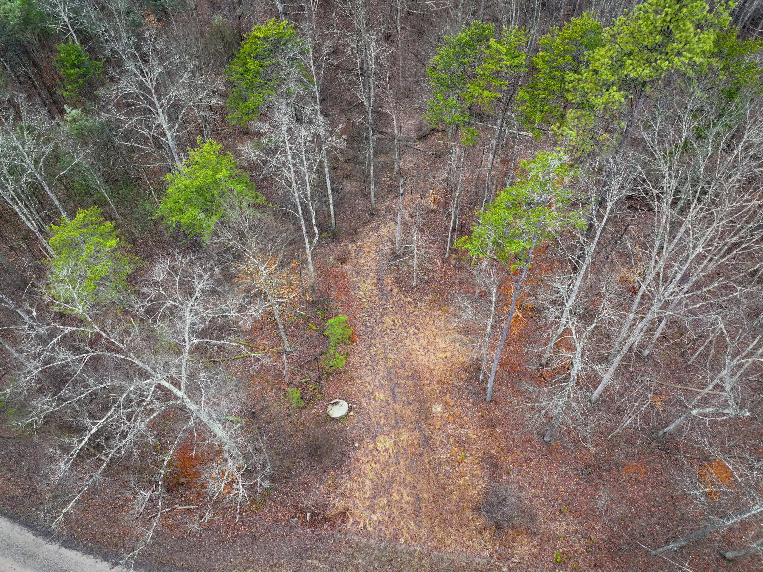 Tract 16 Washington County Large Acreage Hunting and Timber
