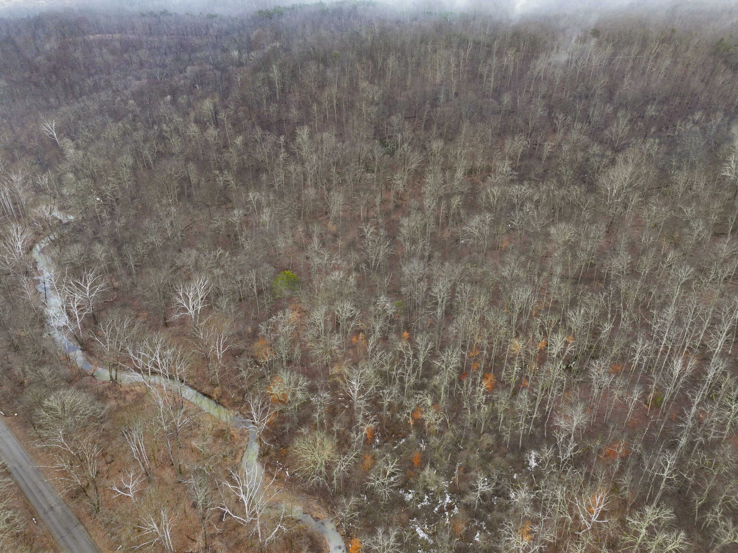 Tract 16 Washington County Large Acreage Hunting and Timber