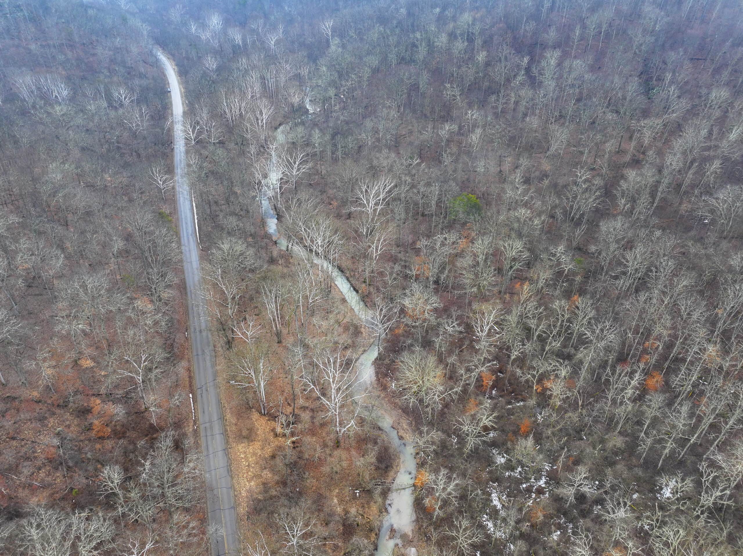 Tract 16 Washington County Large Acreage Hunting and Timber