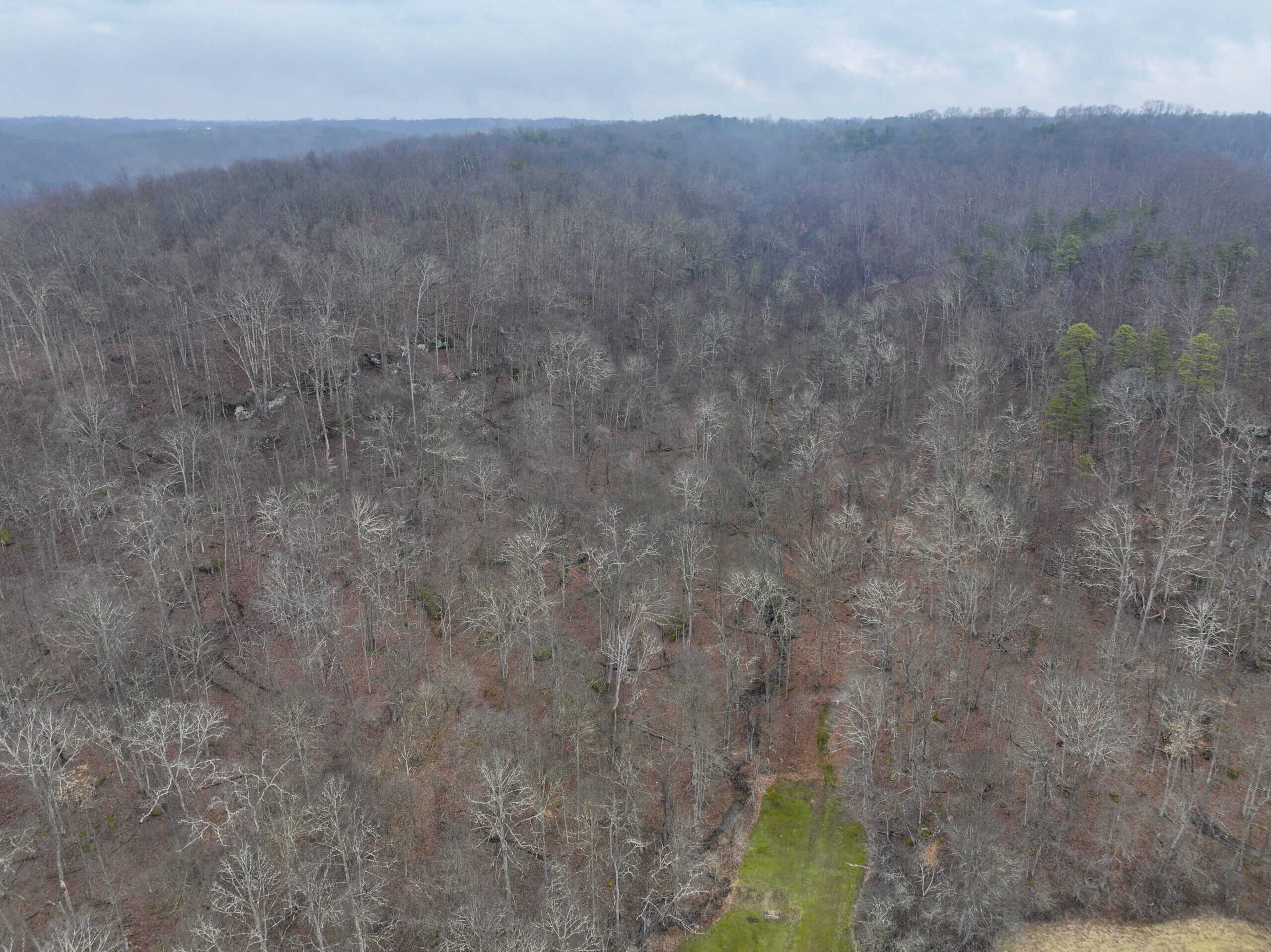Tract 16 Washington County Large Acreage Hunting and Timber