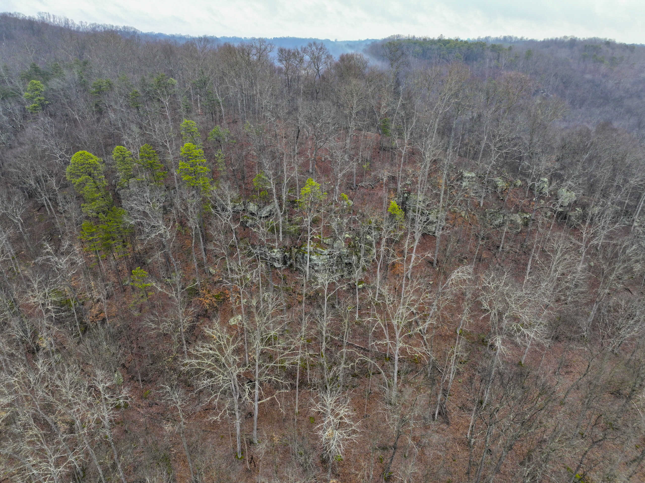 Tract 16 Washington County Large Acreage Hunting and Timber
