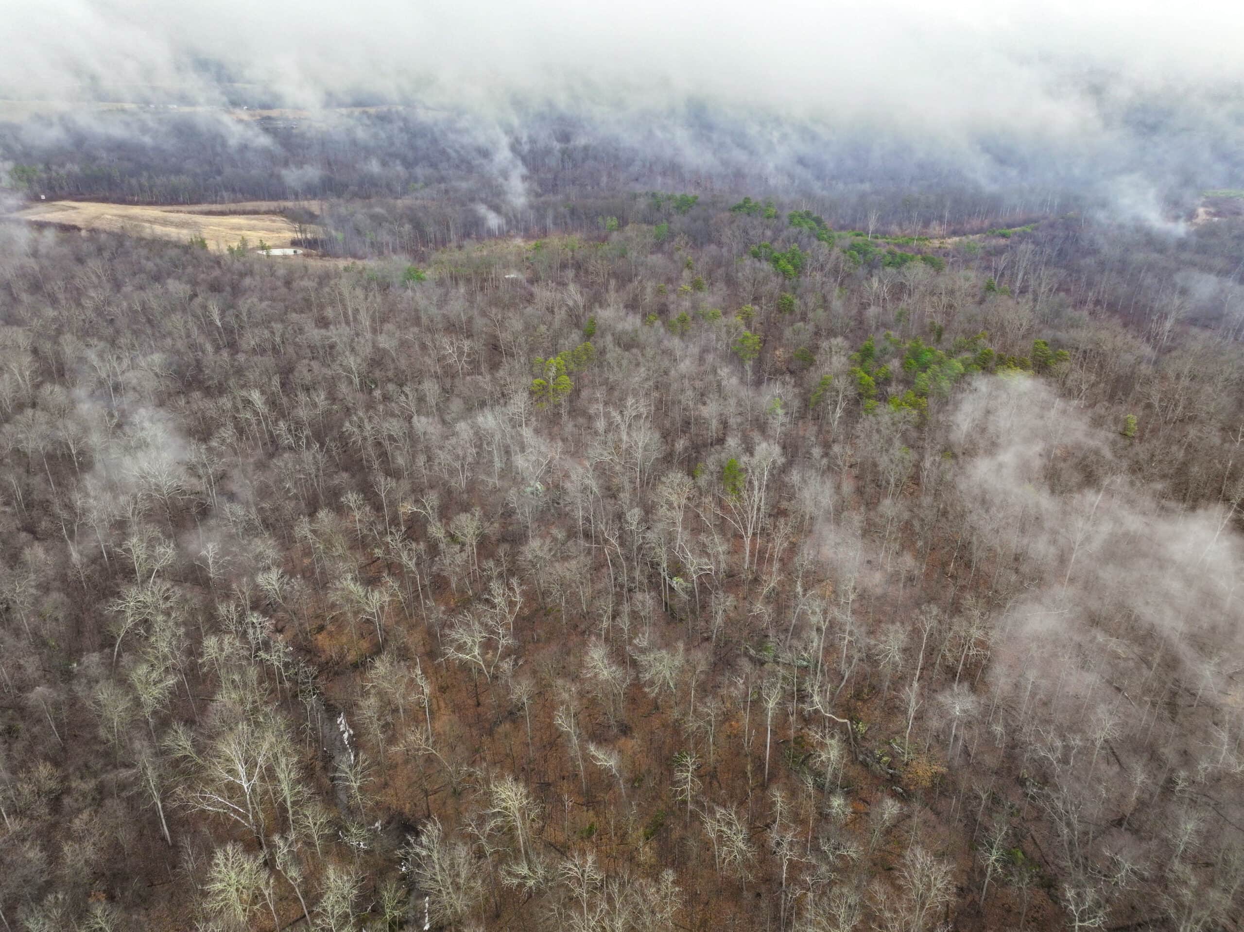 Tract 16 Washington County Large Acreage Hunting and Timber