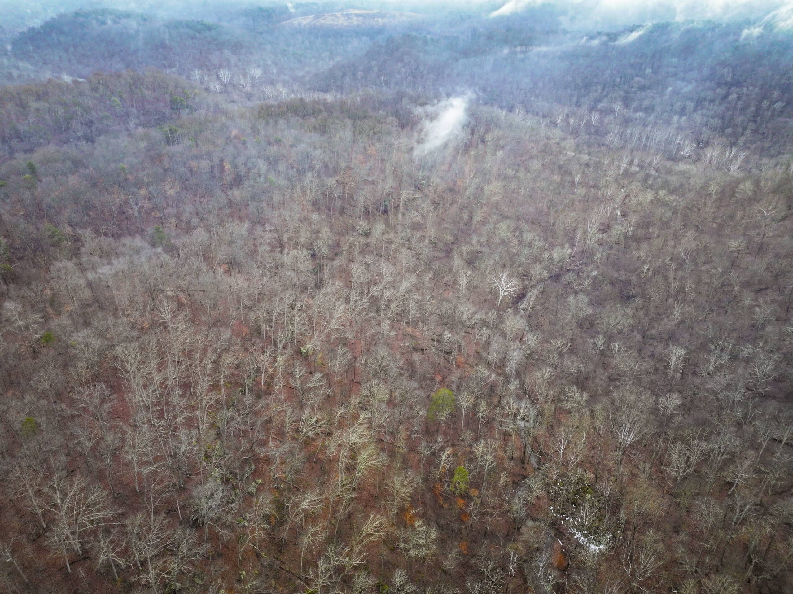 Tract 16 Washington County Large Acreage Hunting and Timber