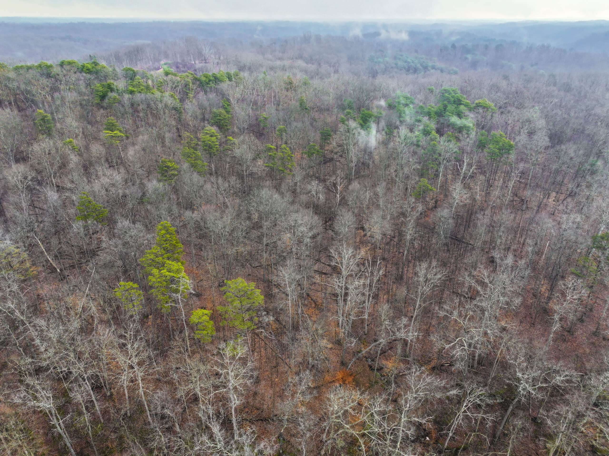 Tract 16 Washington County Large Acreage Hunting and Timber
