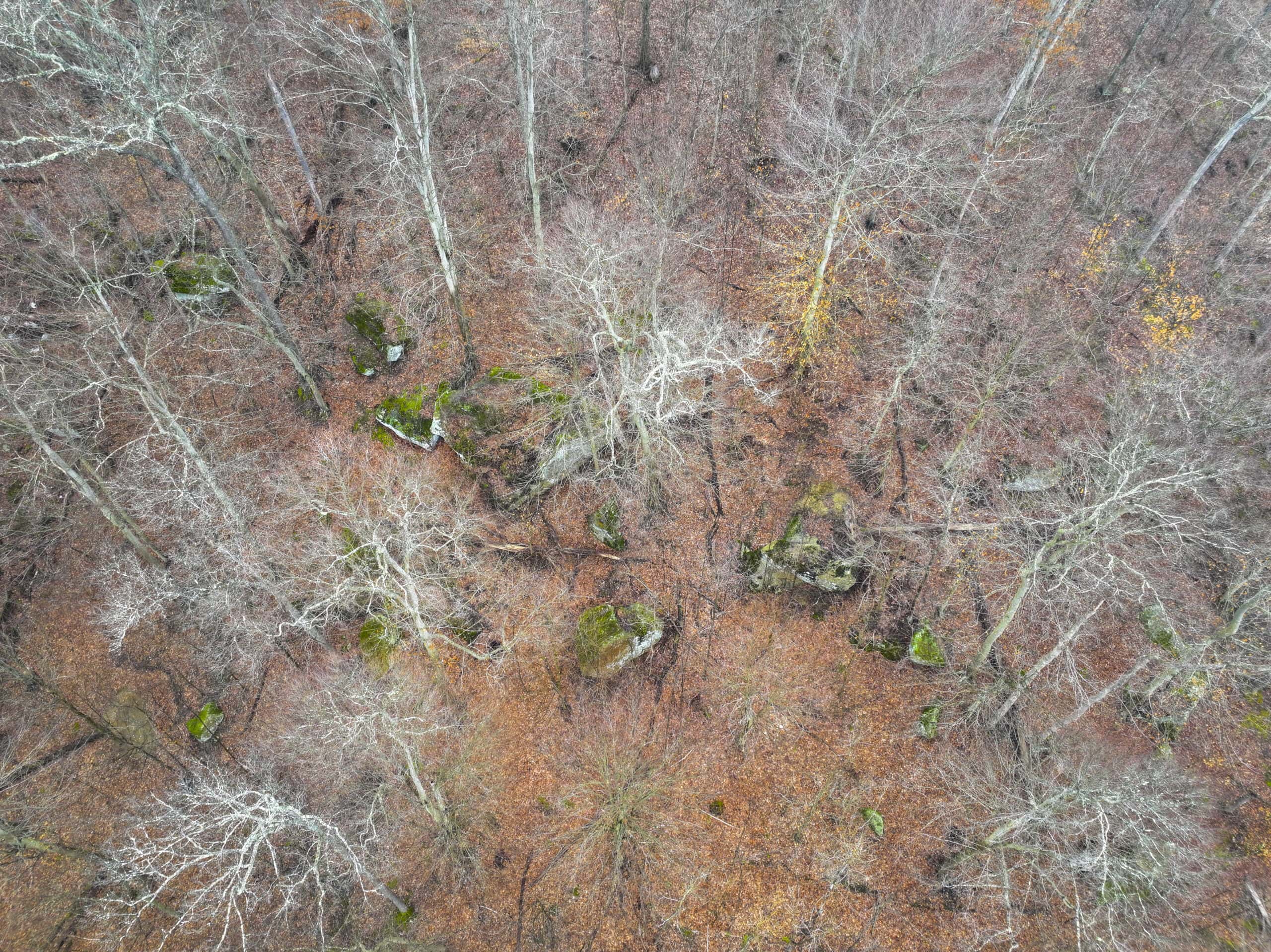 Tract 16 Washington County Large Acreage Hunting and Timber