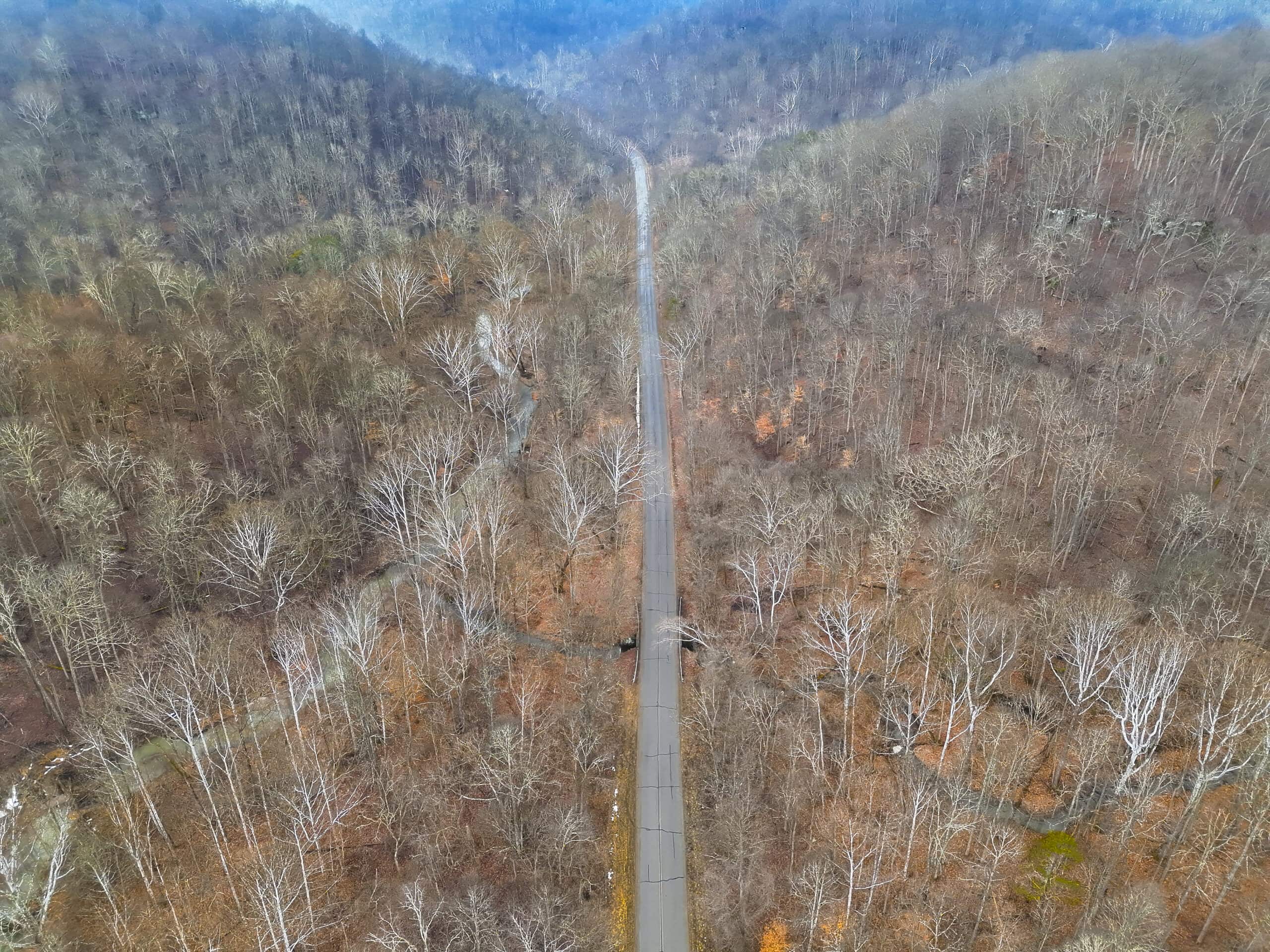 Tract 16 Washington County Large Acreage Hunting and Timber