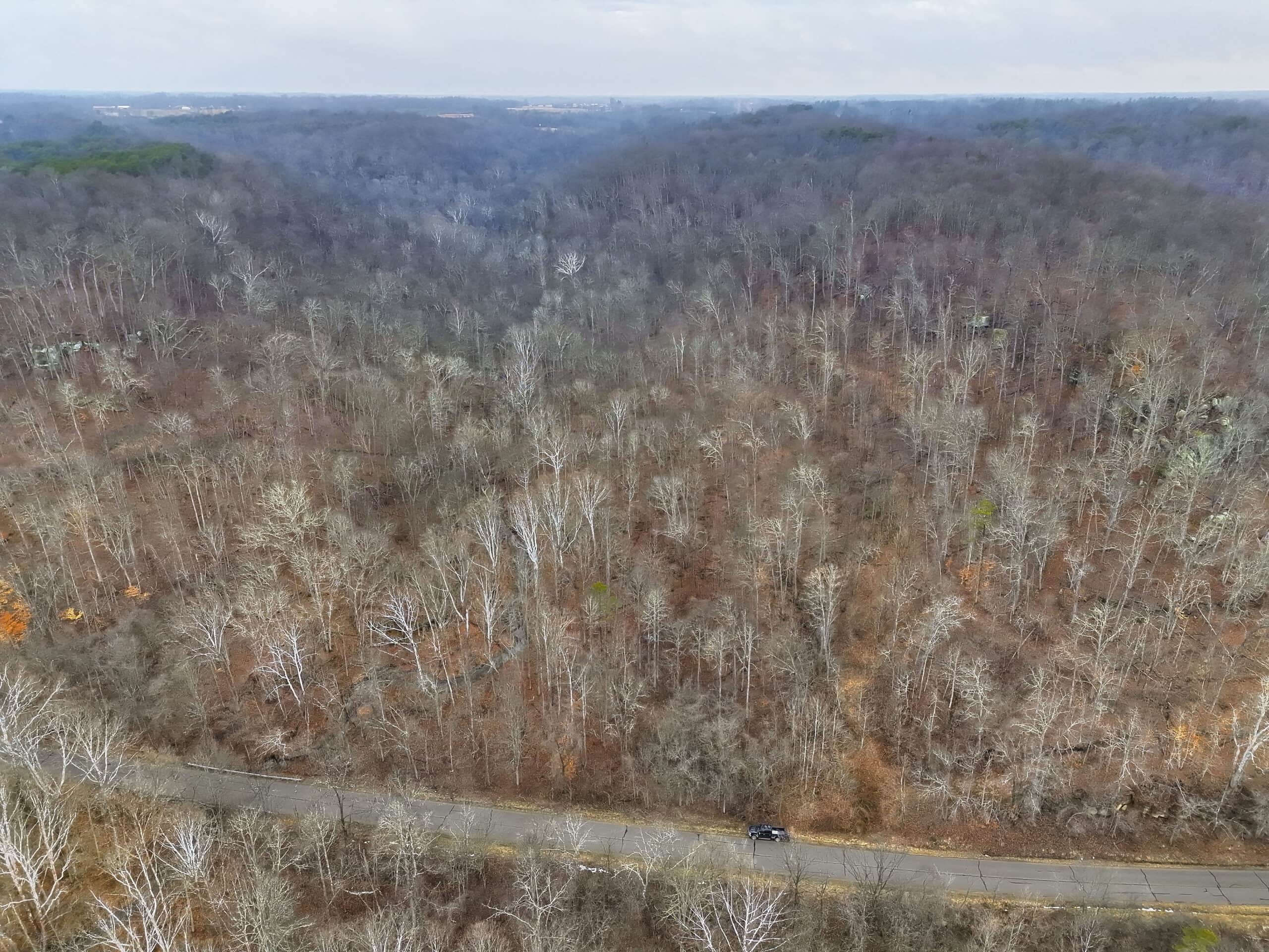 Tract 16 Washington County Large Acreage Hunting and Timber