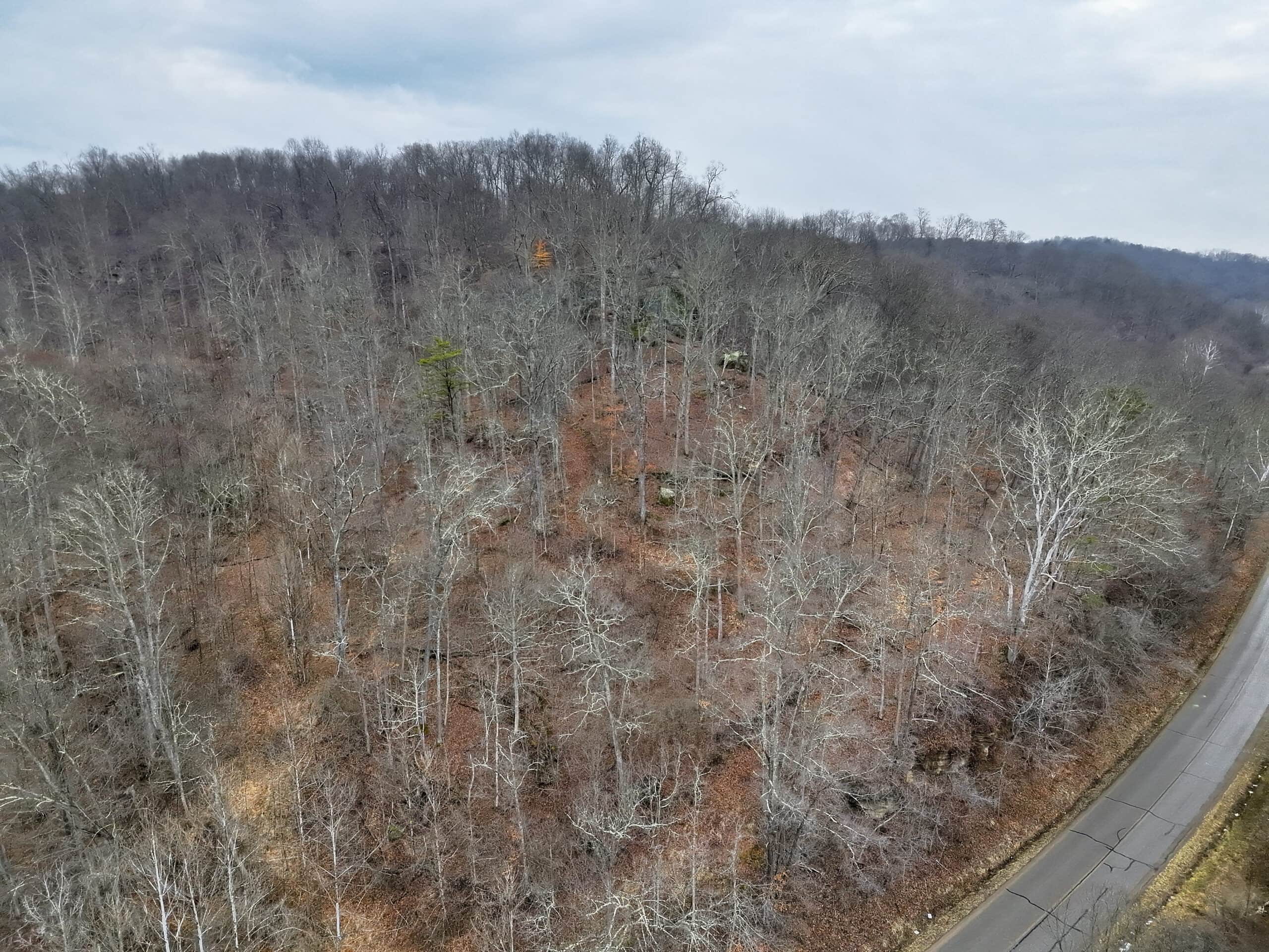 Tract 16 Washington County Large Acreage Hunting and Timber
