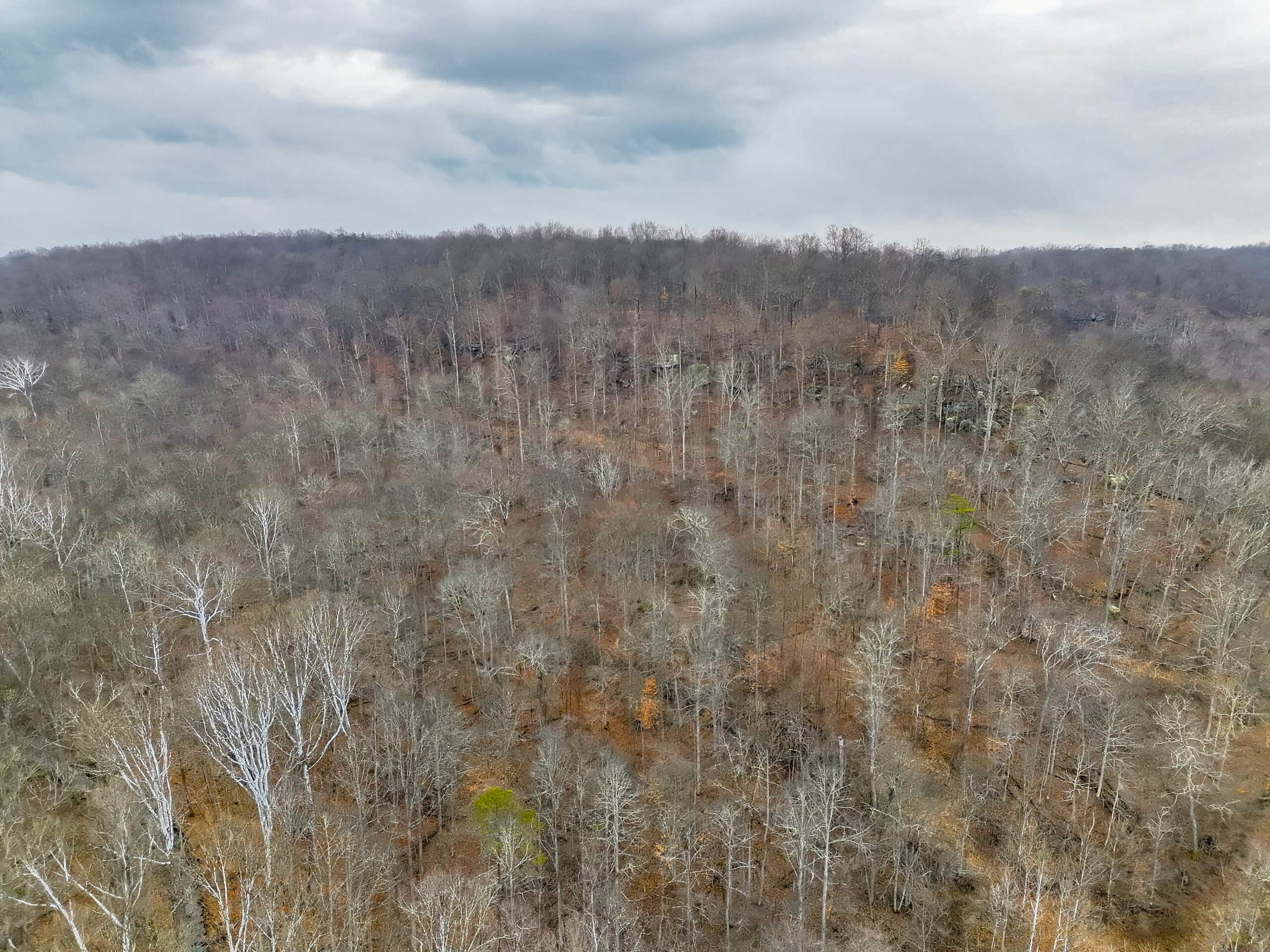 Tract 16 Washington County Large Acreage Hunting and Timber