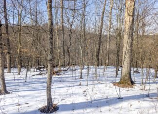 Tract 16 Washington County Large Acreage Hunting and Timber