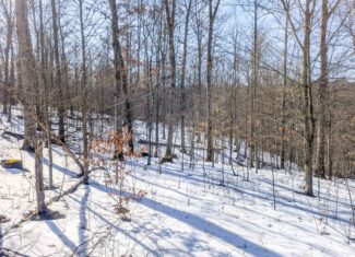 Tract 16 Washington County Large Acreage Hunting and Timber