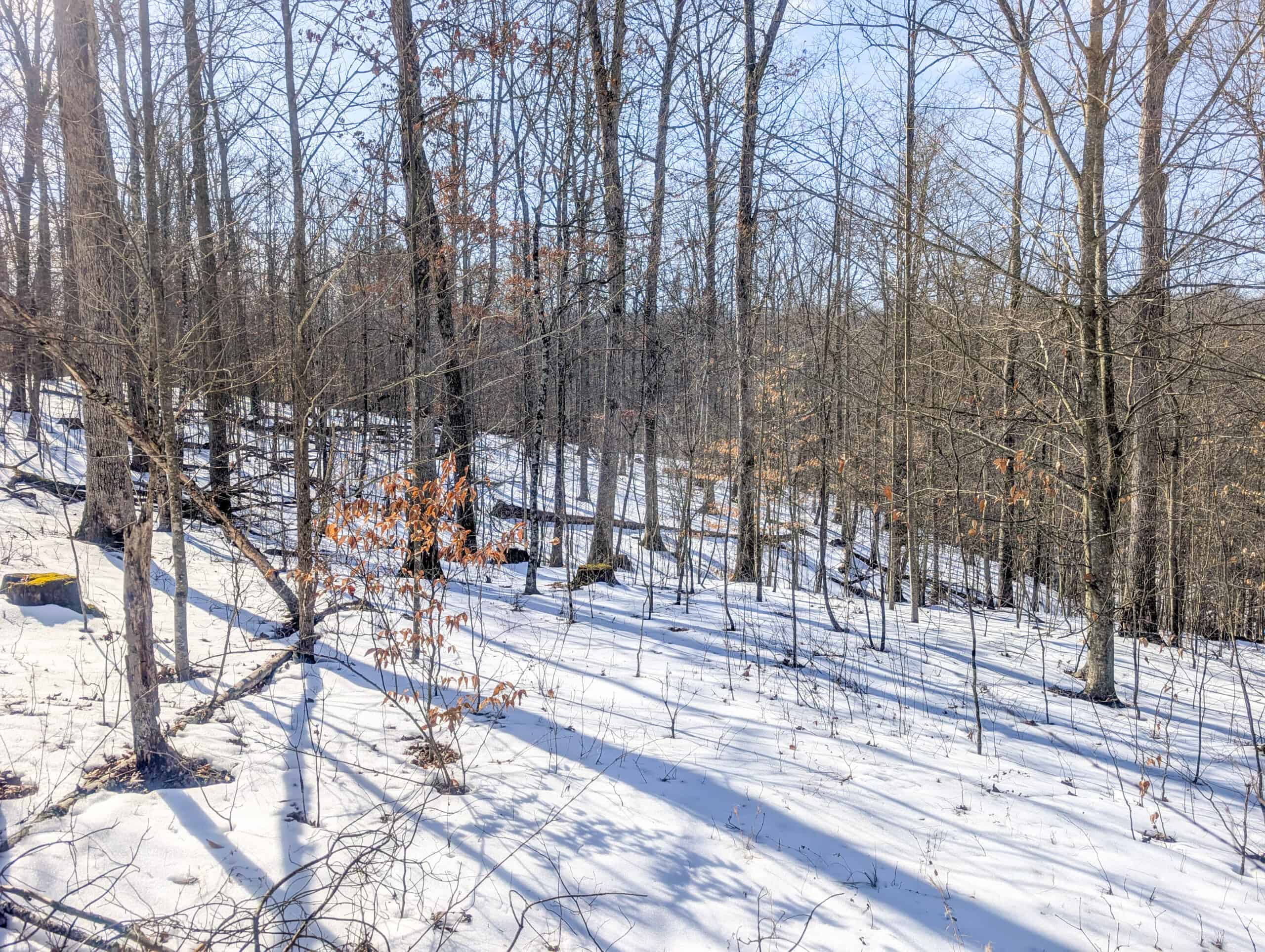 Tract 16 Washington County Large Acreage Hunting and Timber
