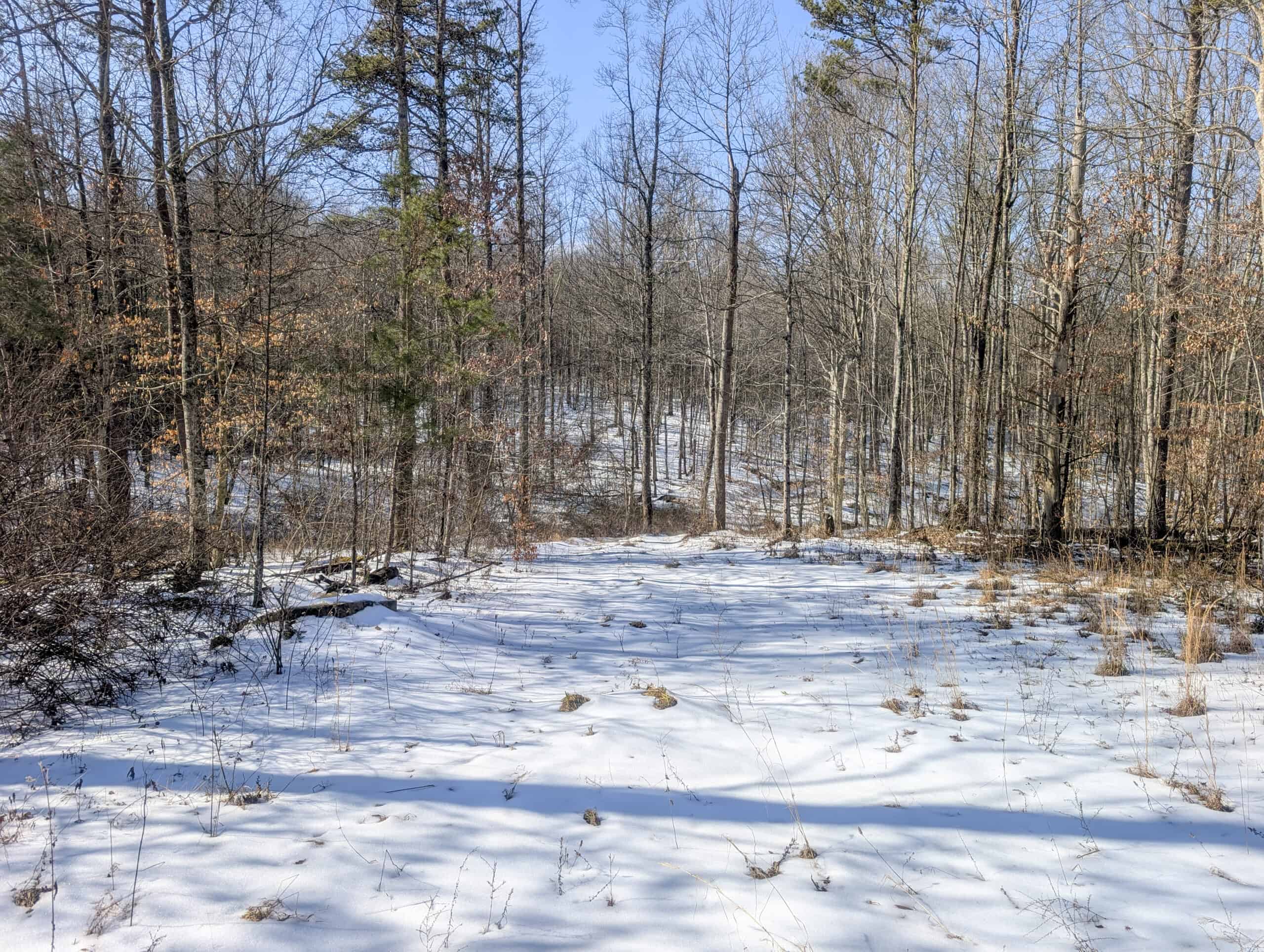 Tract 16 Washington County Large Acreage Hunting and Timber