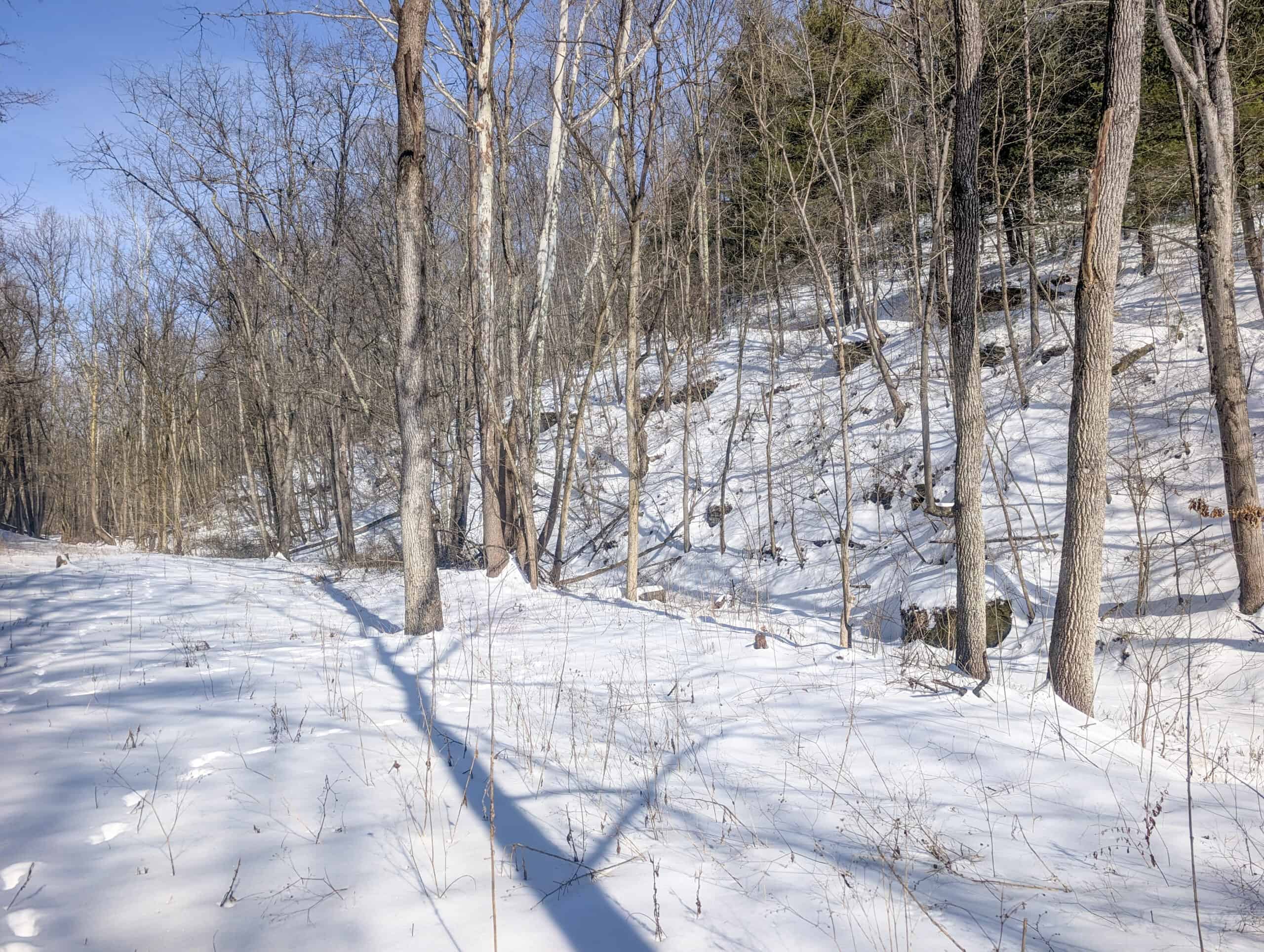 Tract 17 Hunting Land with Creek in Belmont County Ohio