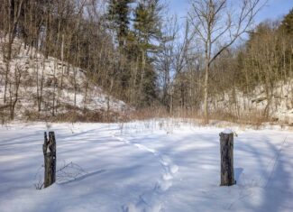 Tract 17 Hunting Land with Creek in Belmont County Ohio