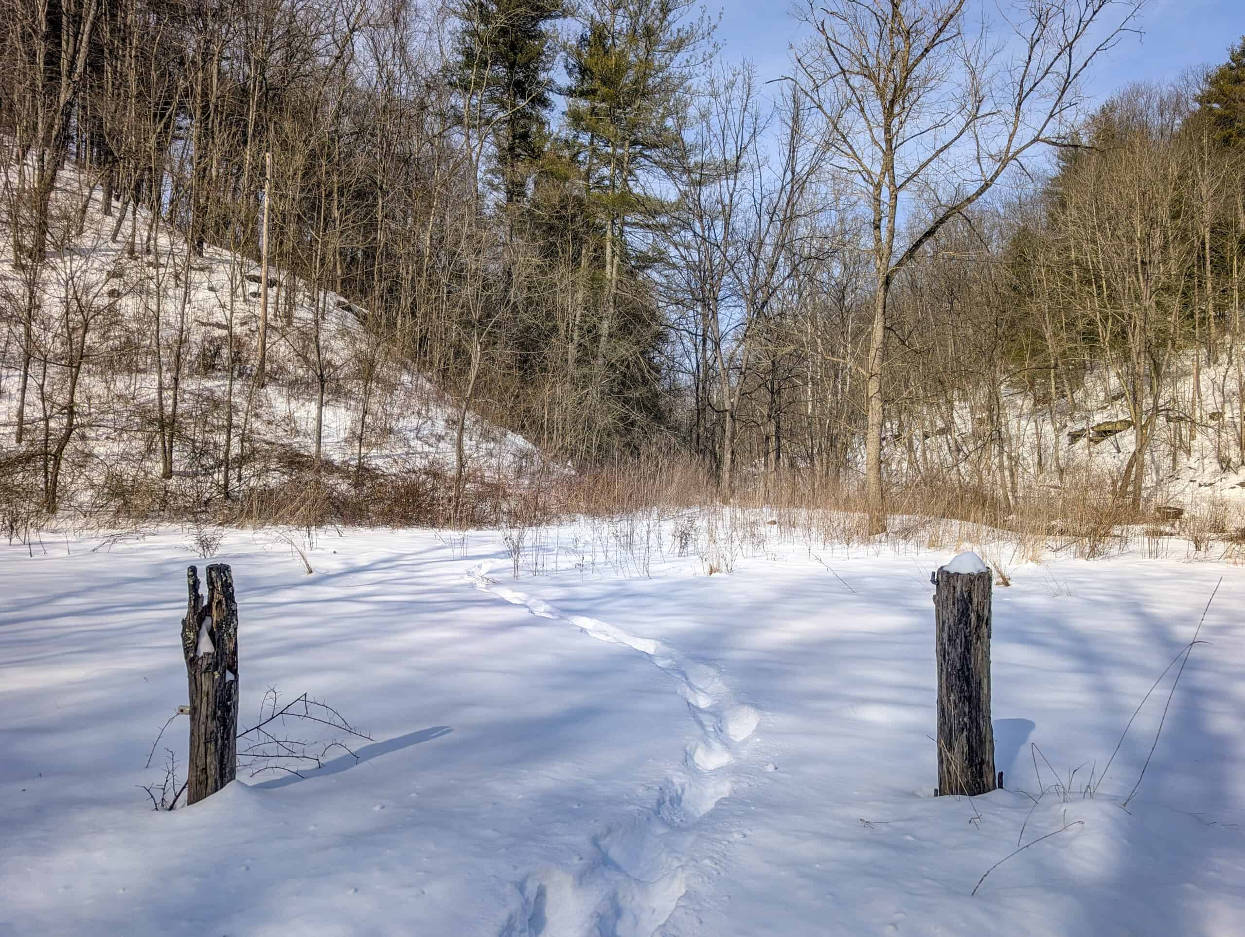 Tract 17 Hunting Land with Creek in Belmont County Ohio