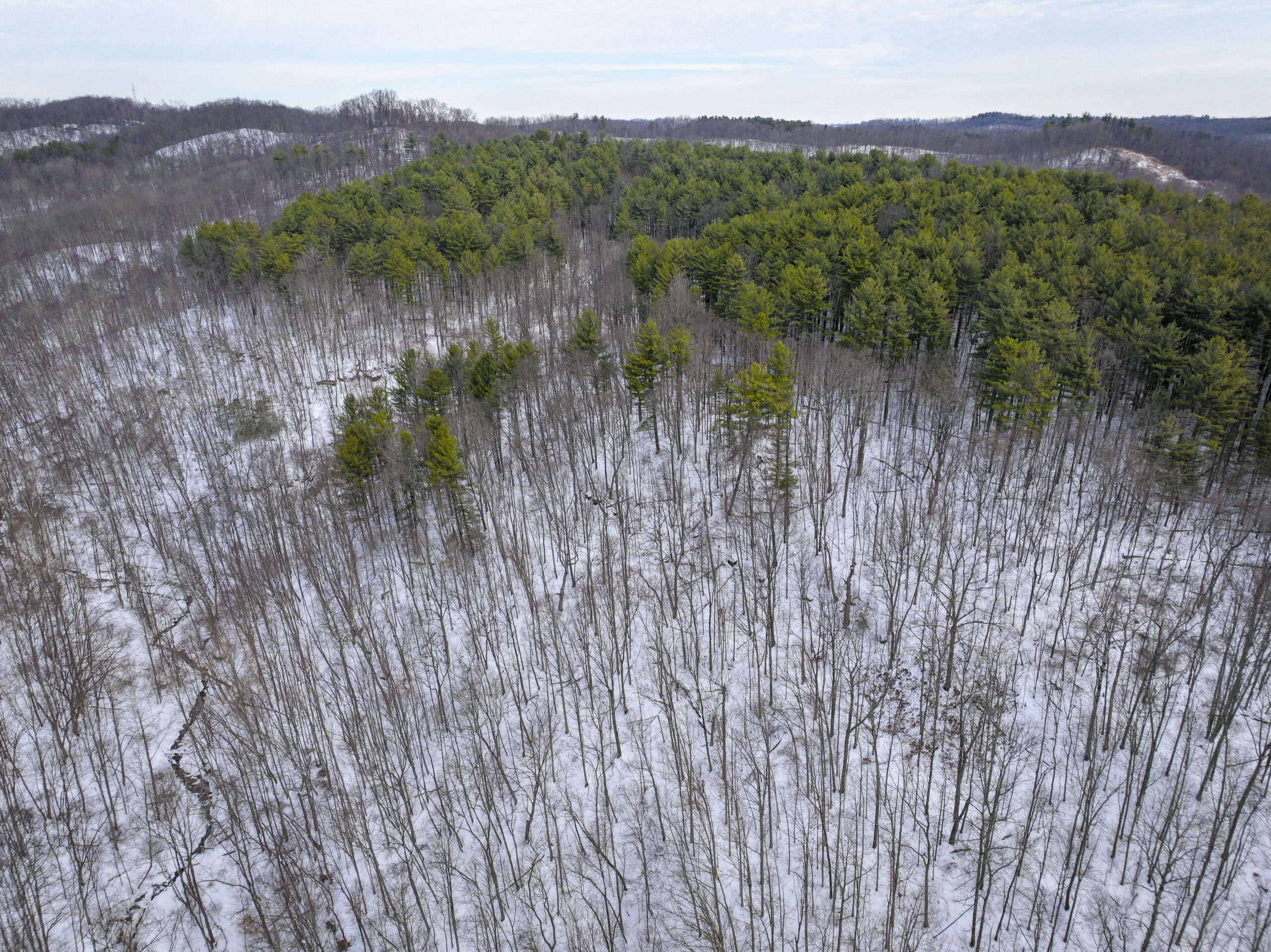 Tract 17 Hunting Land with Creek in Belmont County Ohio