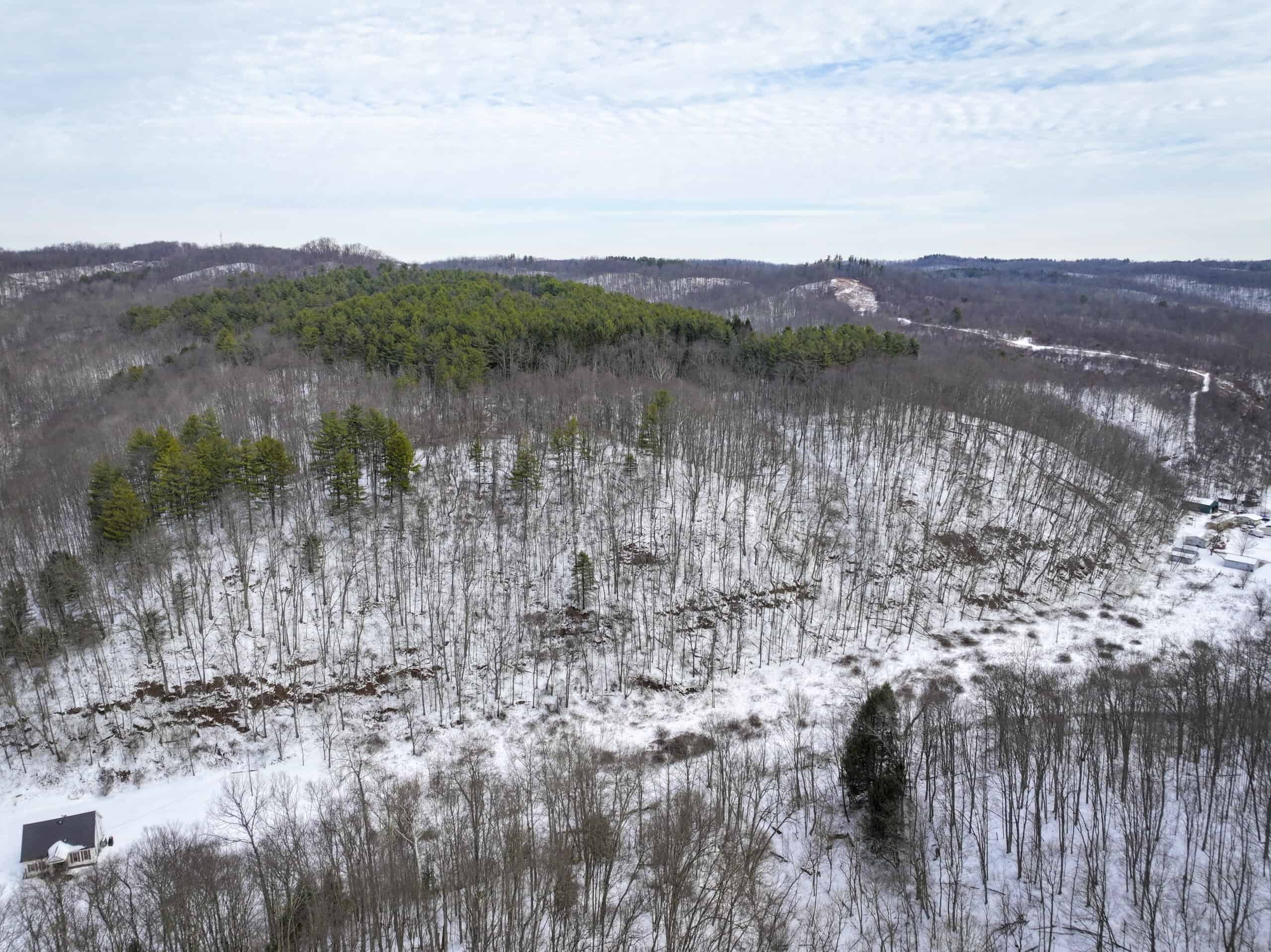 Tract 17 Hunting Land with Creek in Belmont County Ohio