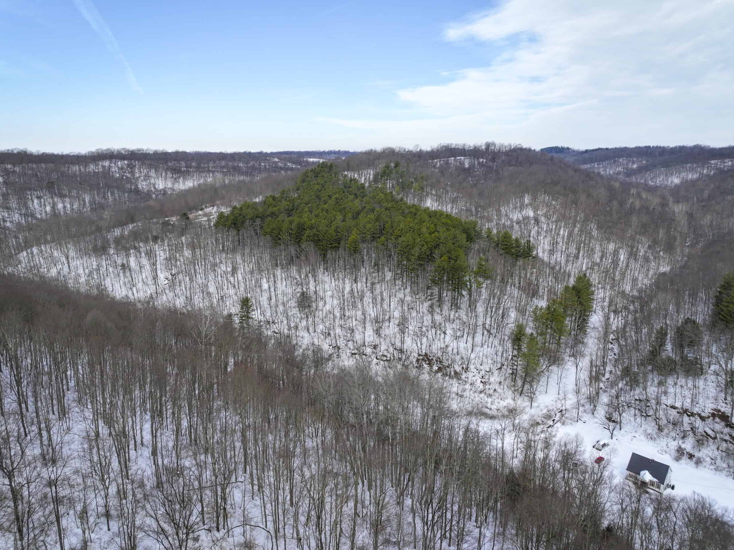 Tract 17 Hunting Land with Creek in Belmont County Ohio