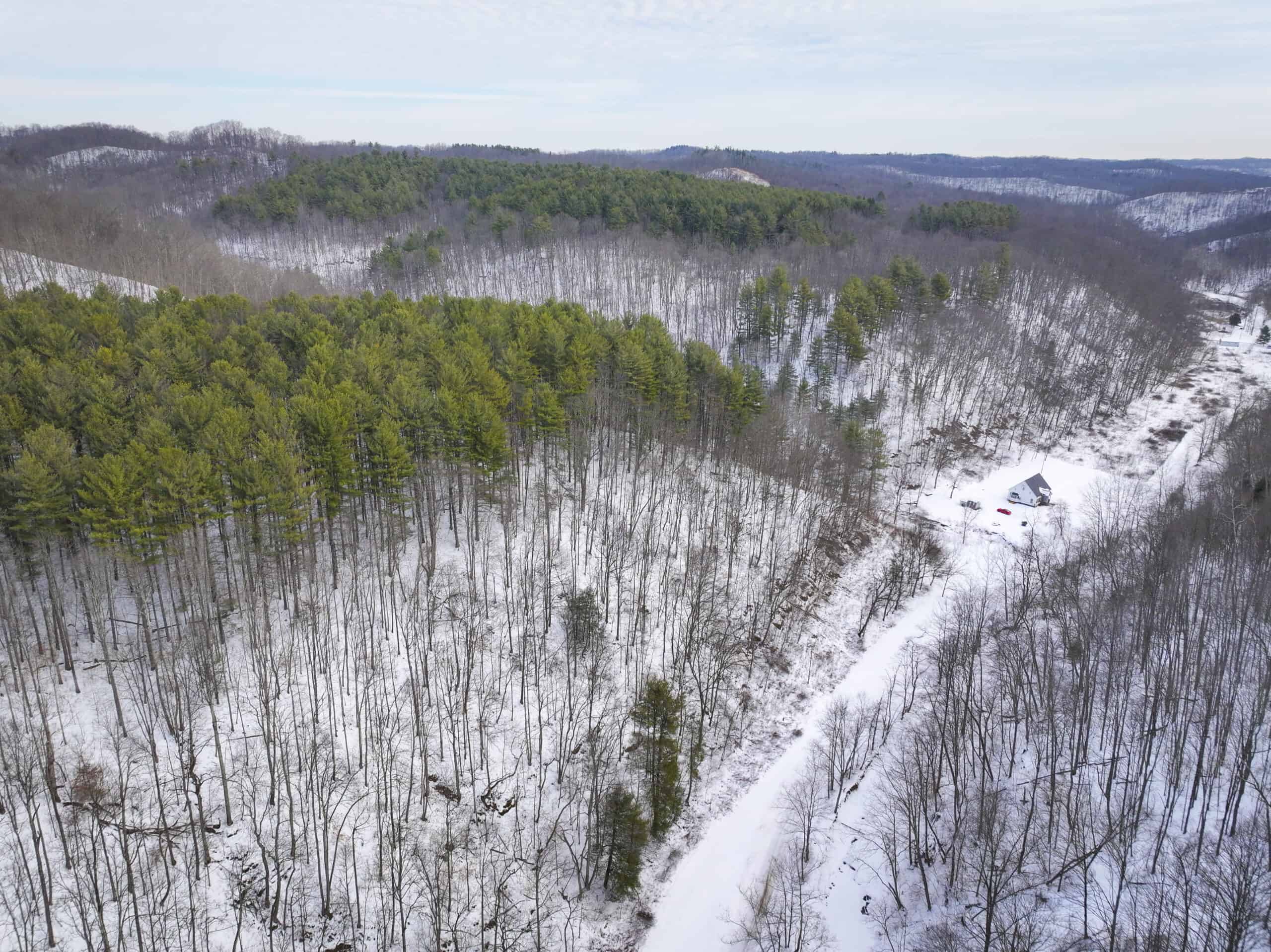 Tract 17 Hunting Land with Creek in Belmont County Ohio