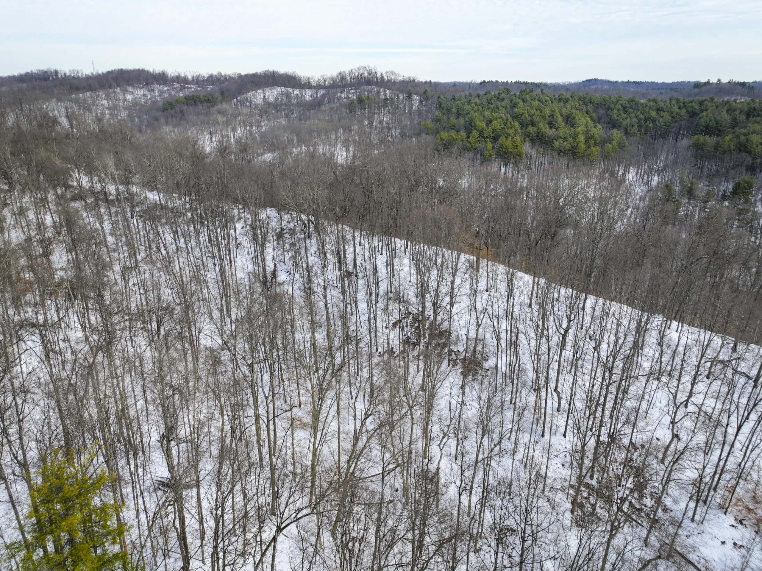 Tract 17 Hunting Land with Creek in Belmont County Ohio