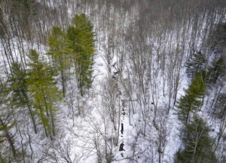 Tract 17 Hunting Land with Creek in Belmont County Ohio