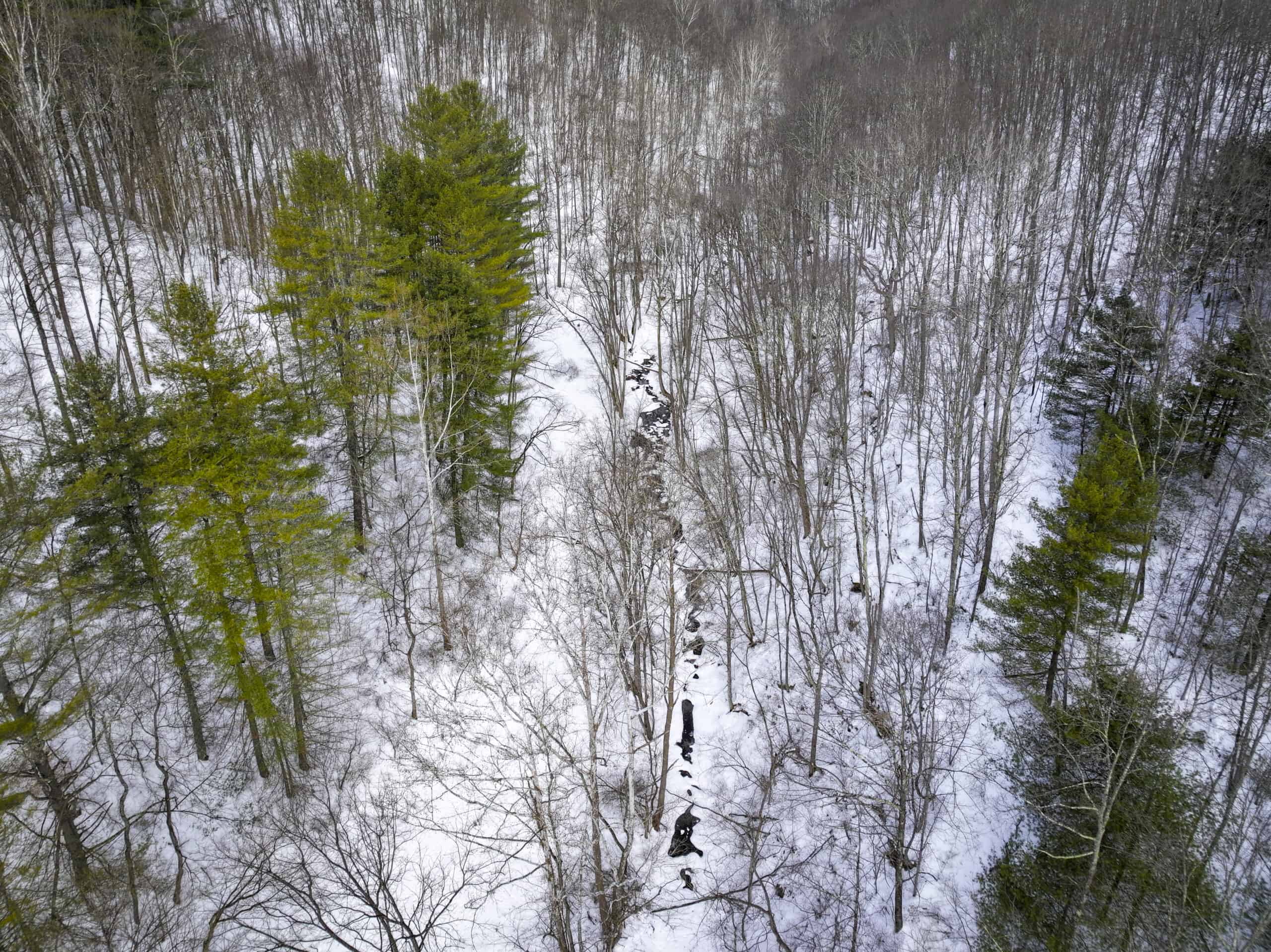 Tract 17 Hunting Land with Creek in Belmont County Ohio