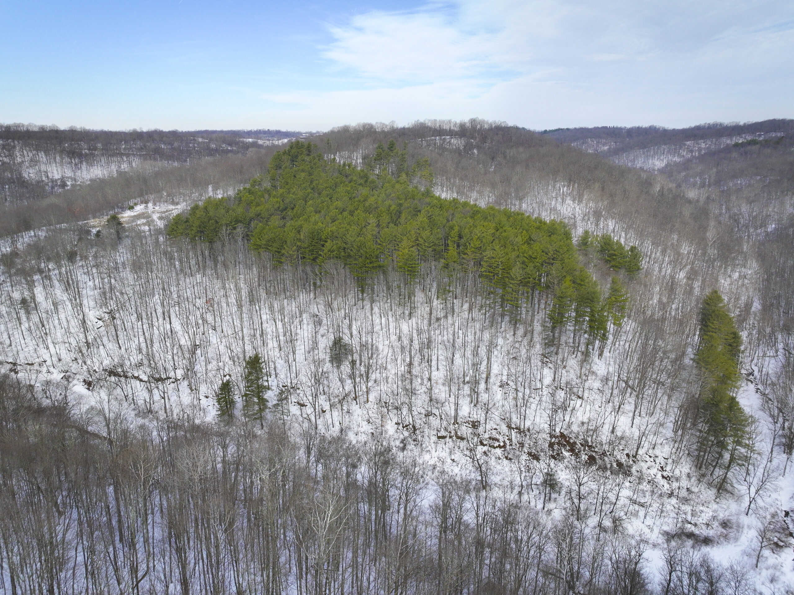Tract 17 Hunting Land with Creek in Belmont County Ohio