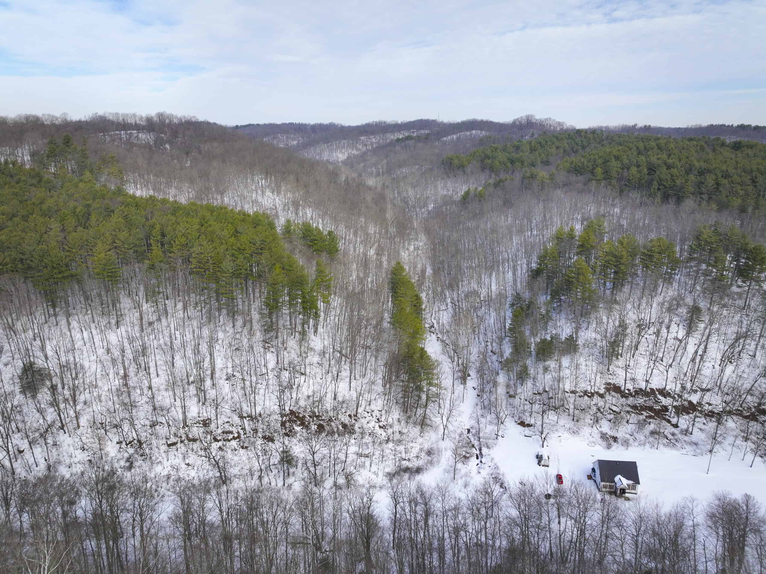 Tract 17 Hunting Land with Creek in Belmont County Ohio