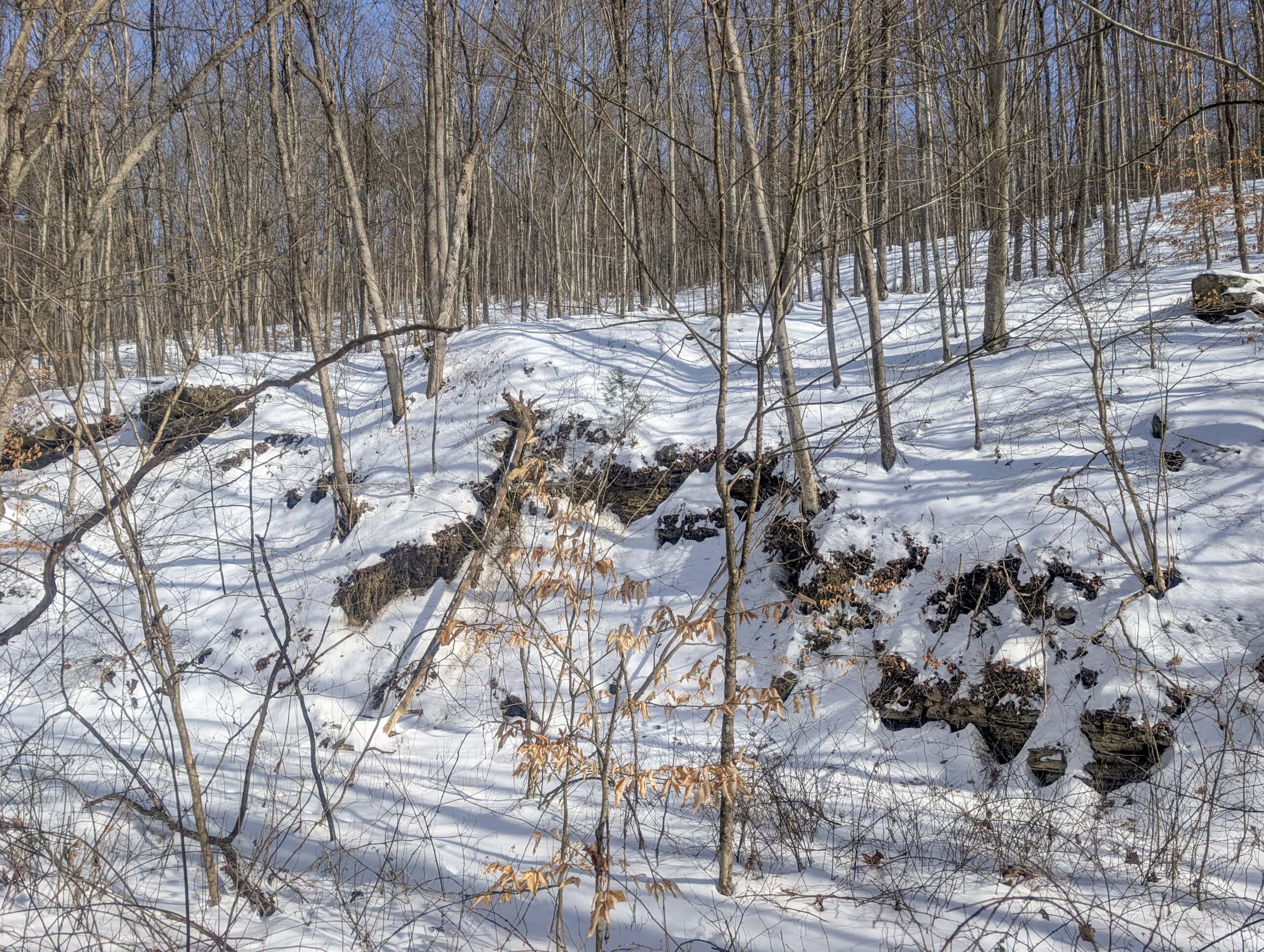 Tract 17 Hunting Land with Creek in Belmont County Ohio