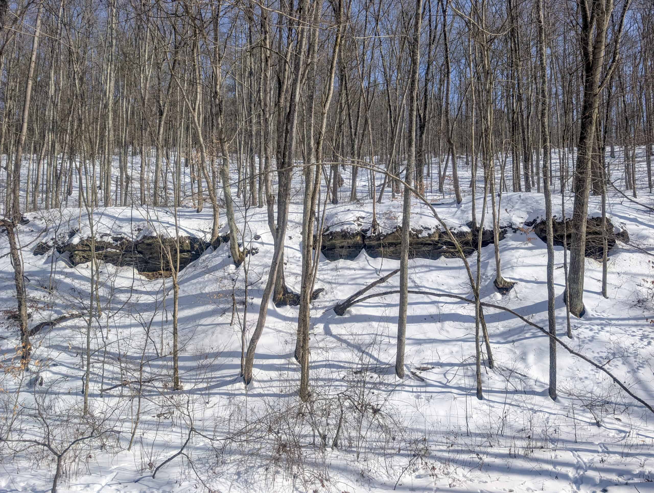 Tract 17 Hunting Land with Creek in Belmont County Ohio