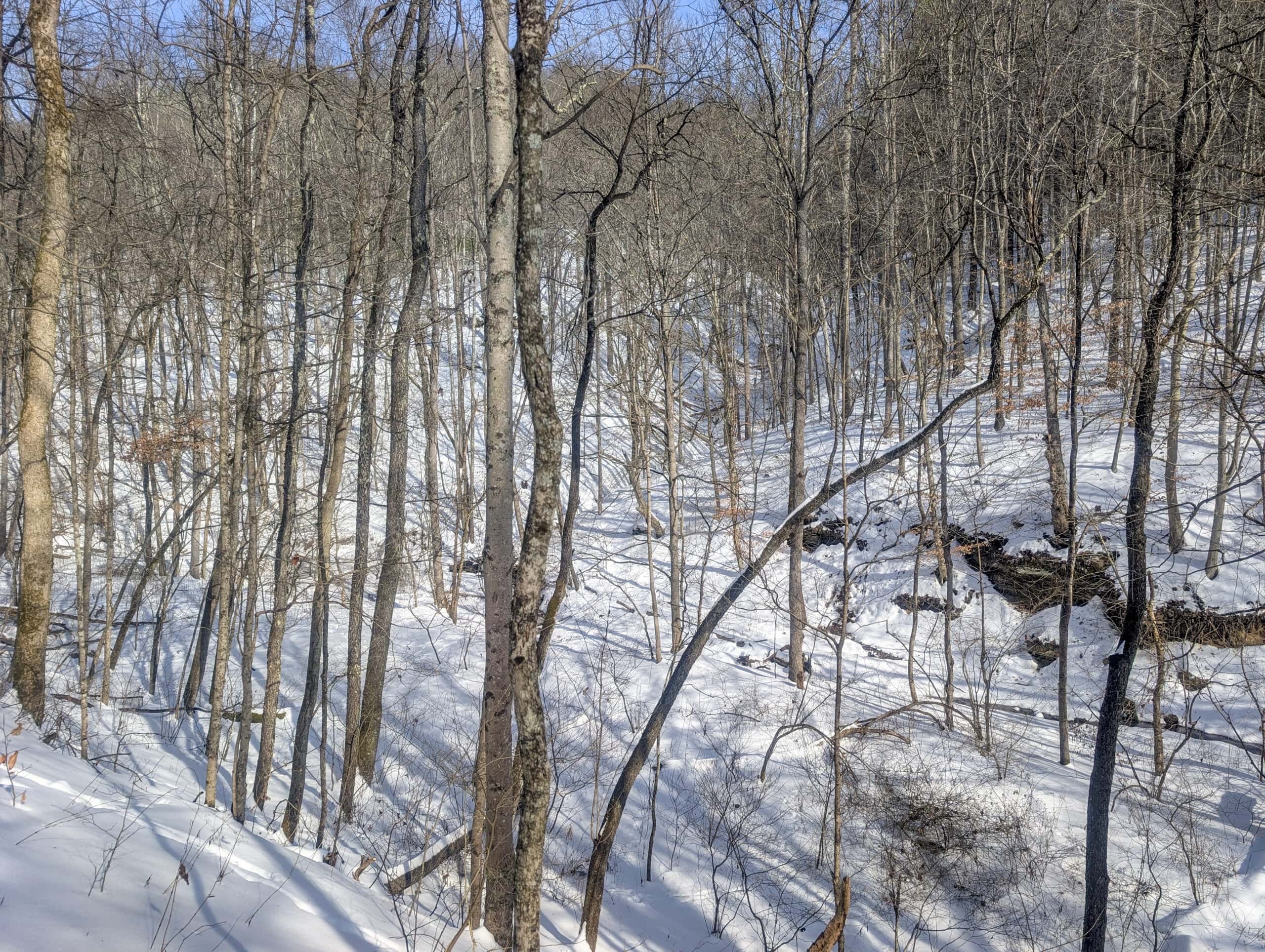 Tract 17 Hunting Land with Creek in Belmont County Ohio