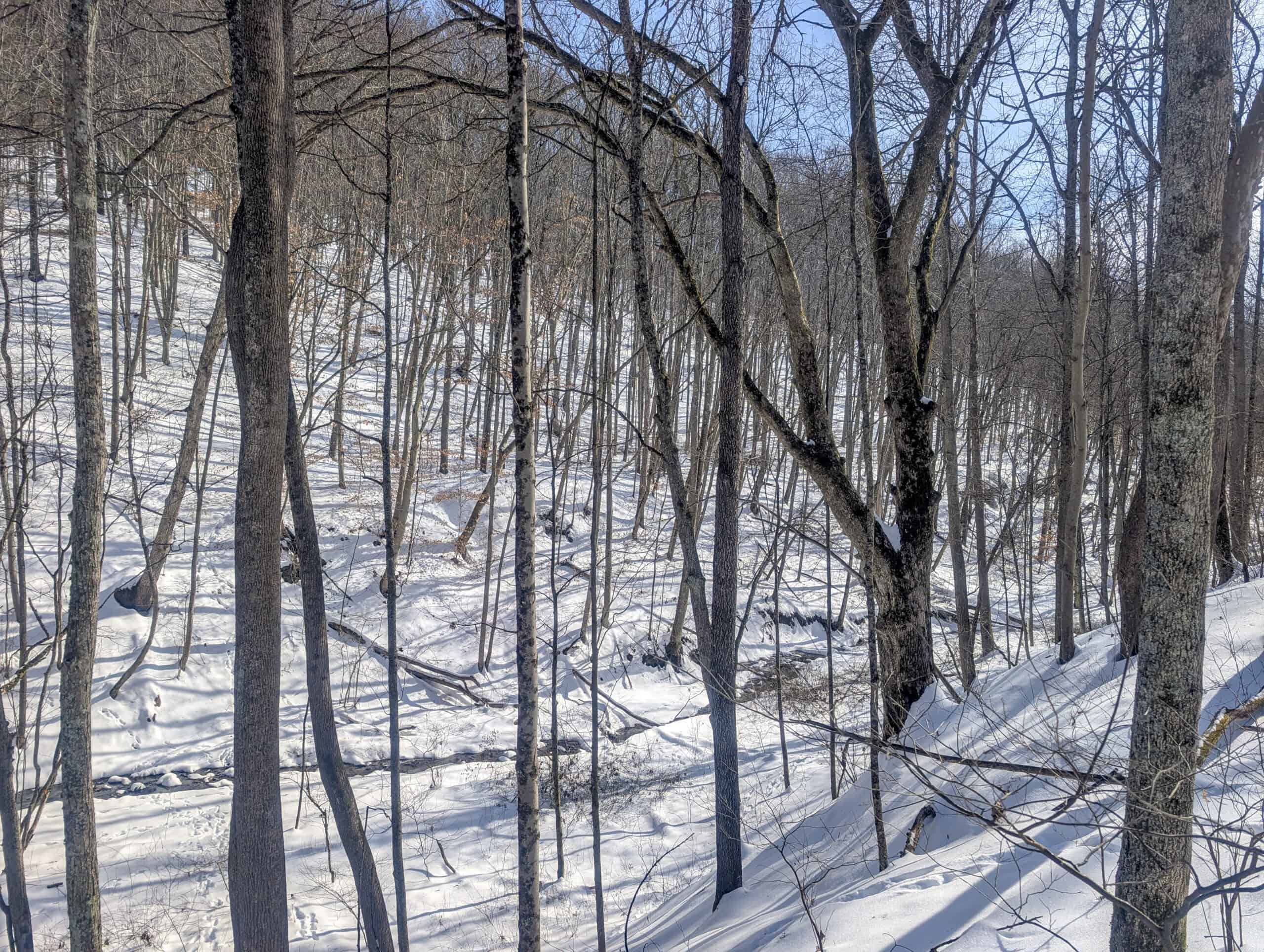 Tract 17 Hunting Land with Creek in Belmont County Ohio
