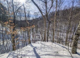 Tract 17 Hunting Land with Creek in Belmont County Ohio