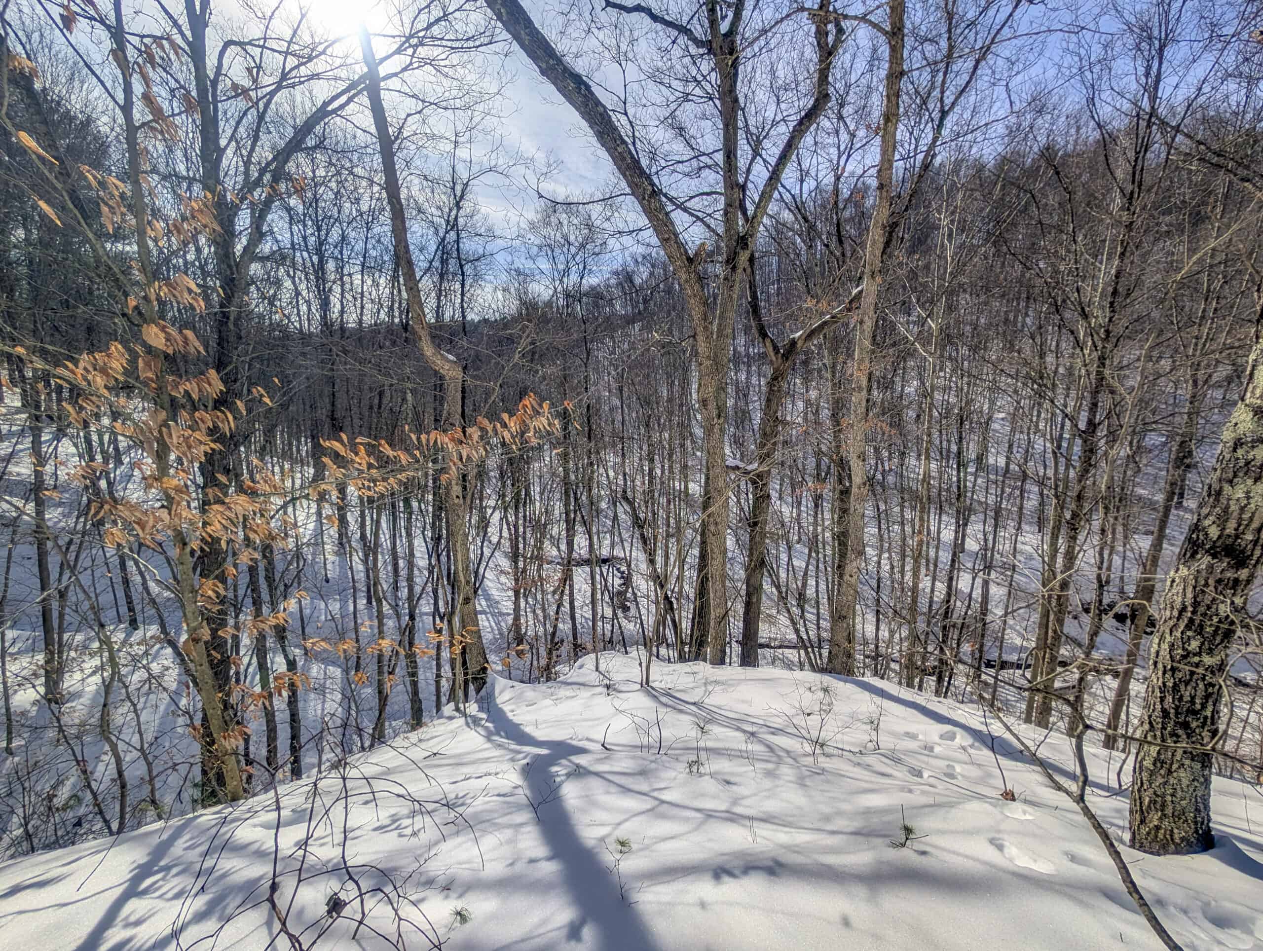 Tract 17 Hunting Land with Creek in Belmont County Ohio