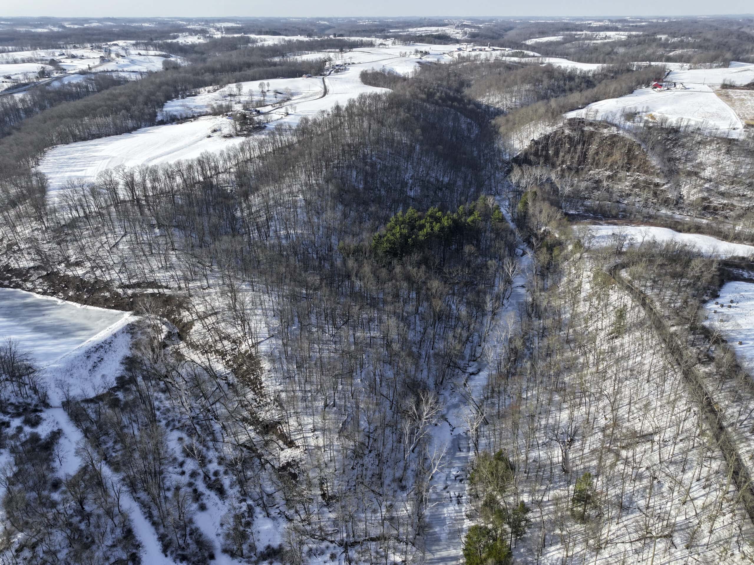 Tract 2 33 +/- Acres Monroe County Hunting Land