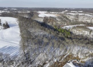 Tract 2 33 +/- Acres Monroe County Hunting Land