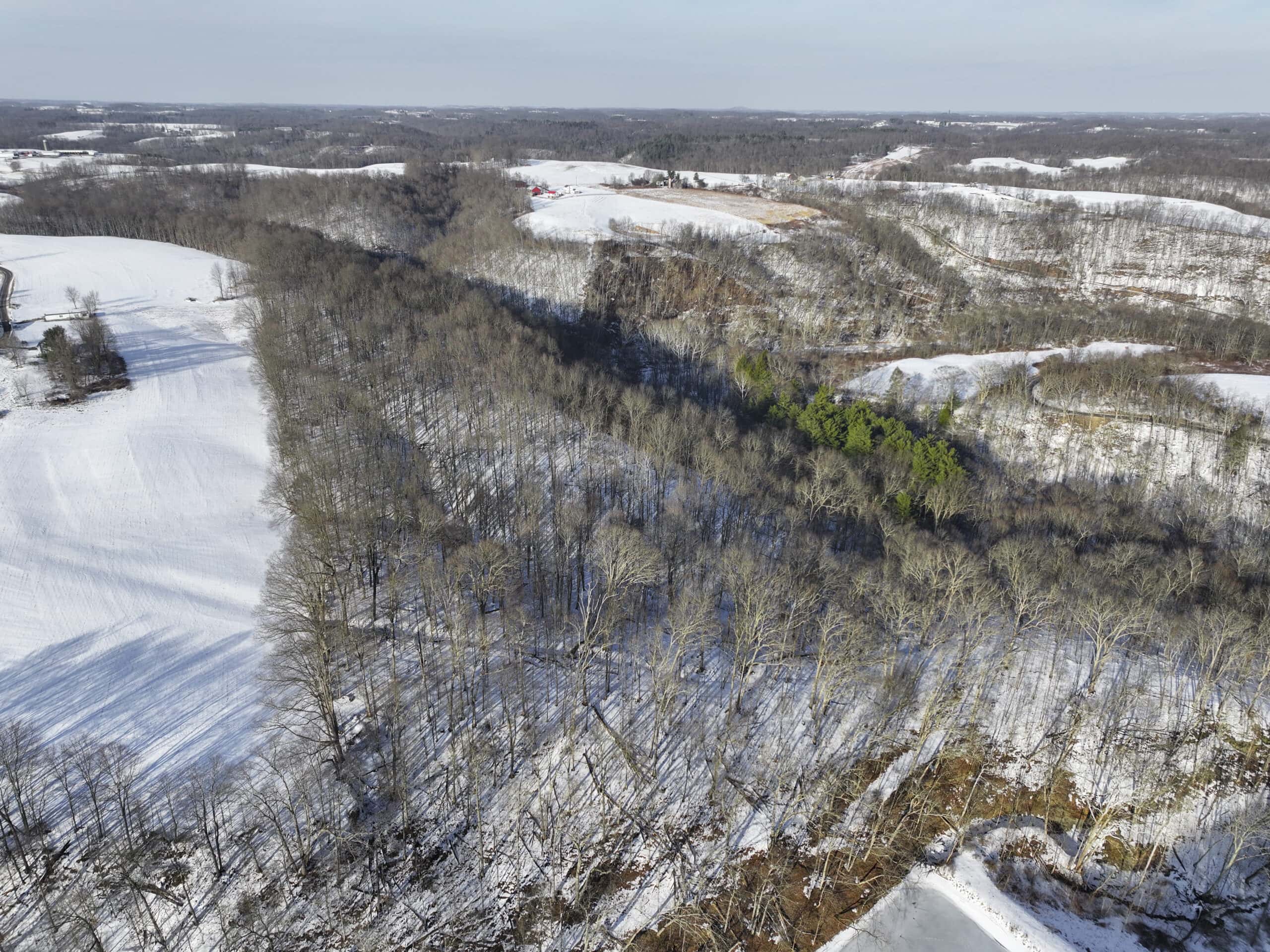 Tract 2 33 +/- Acres Monroe County Hunting Land