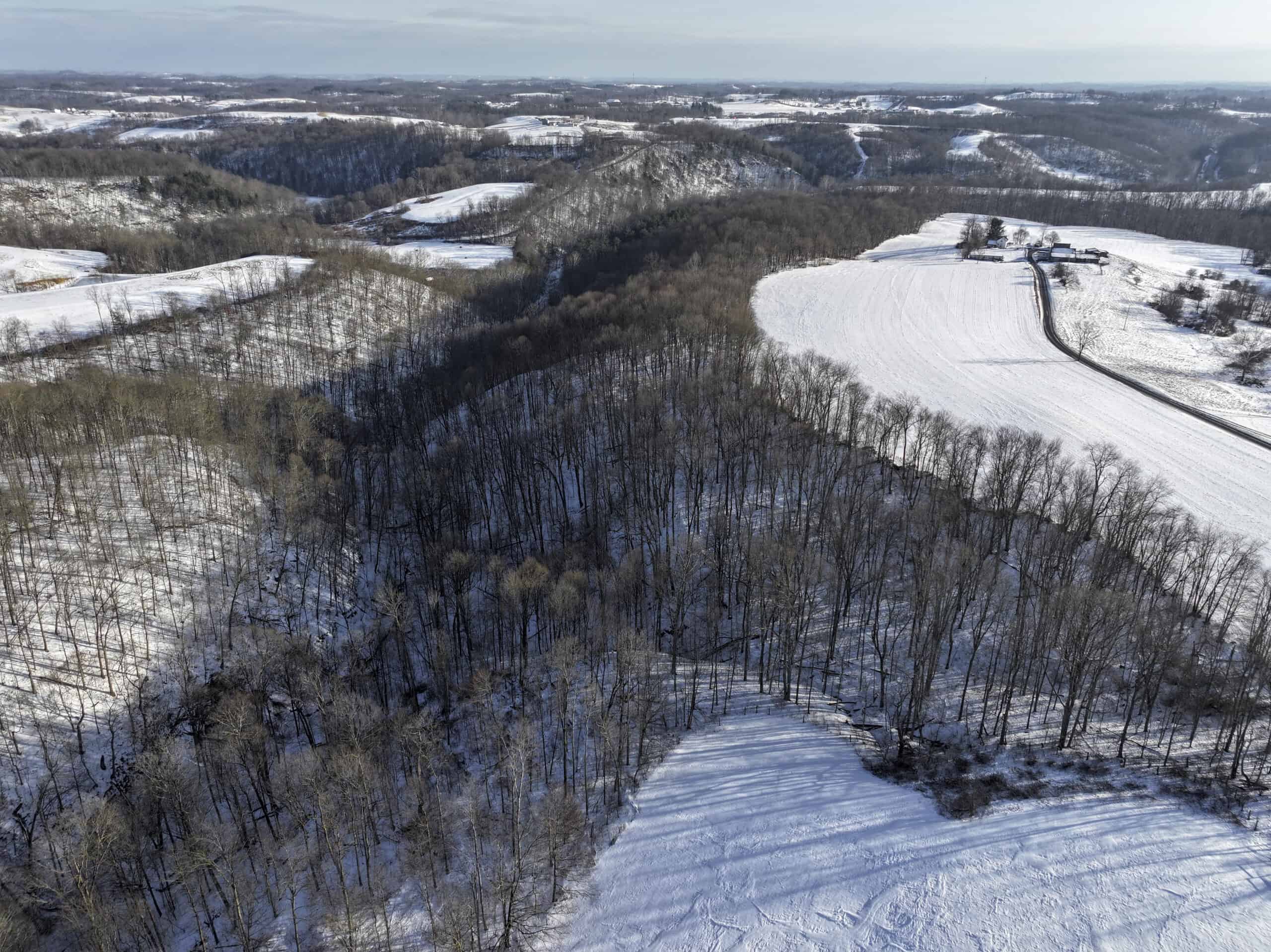 Tract 2 33 +/- Acres Monroe County Hunting Land
