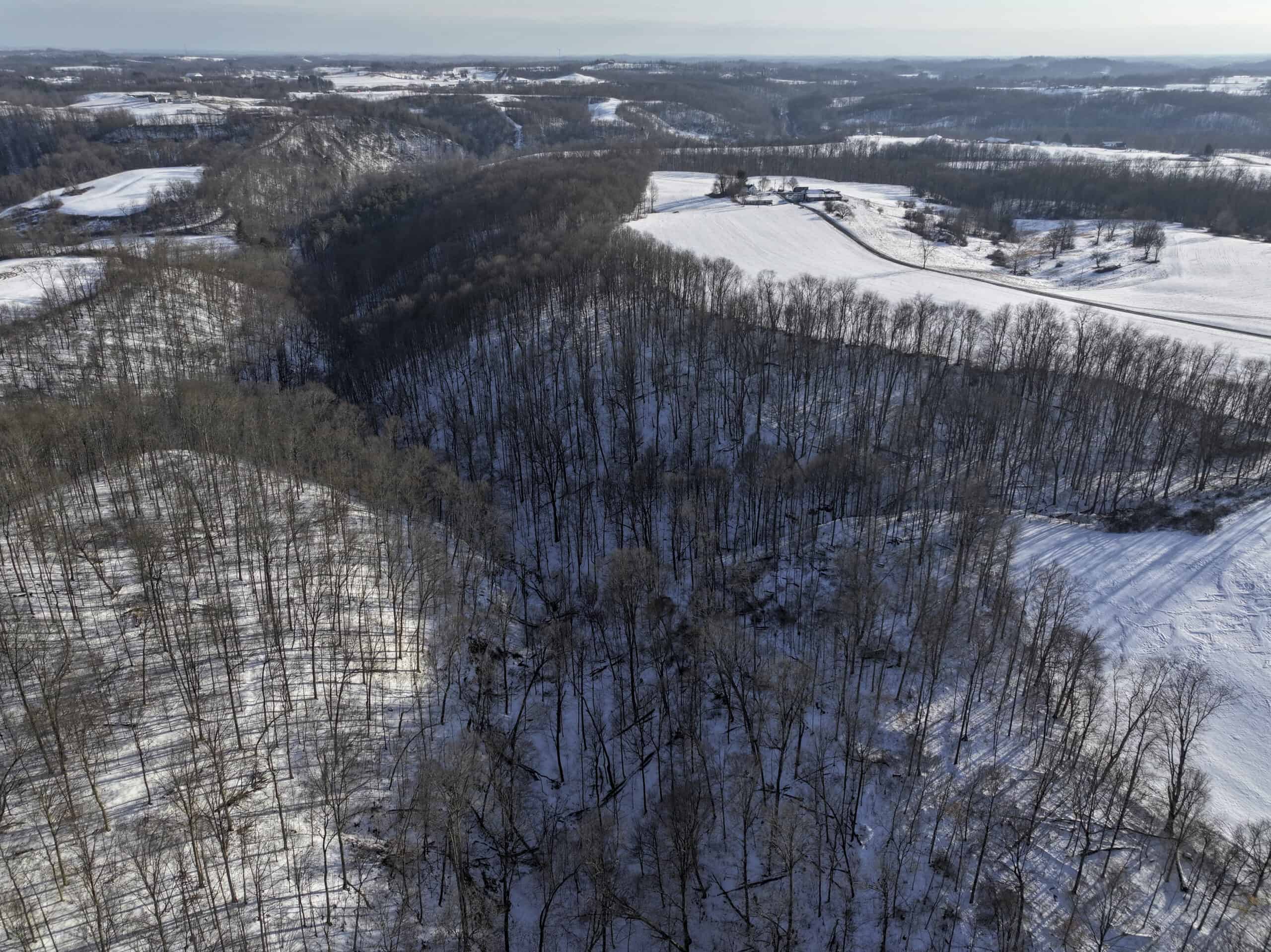 Tract 2 33 +/- Acres Monroe County Hunting Land