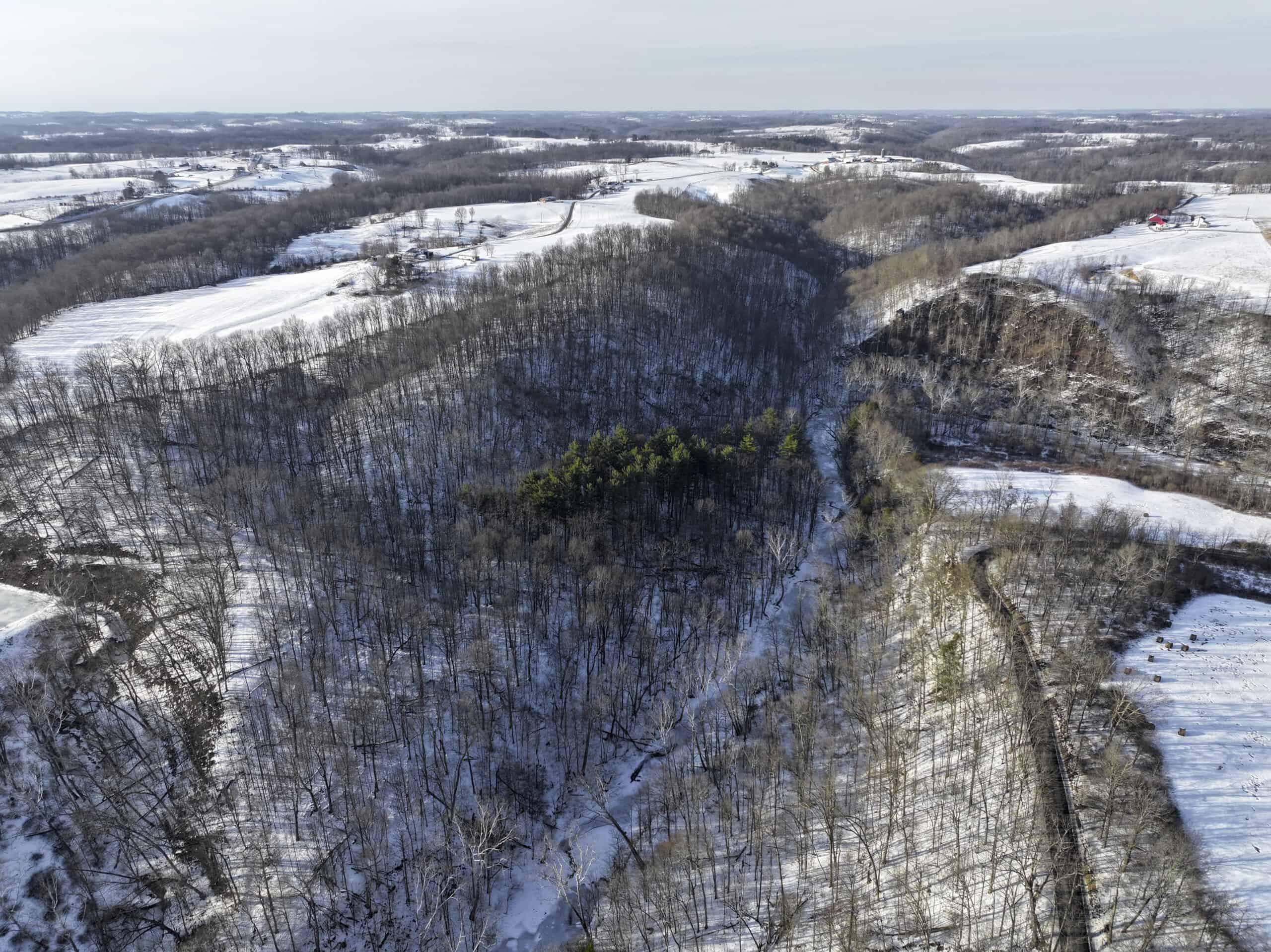 Tract 2 33 +/- Acres Monroe County Hunting Land